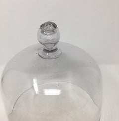French Antique Glass Dome Cloche