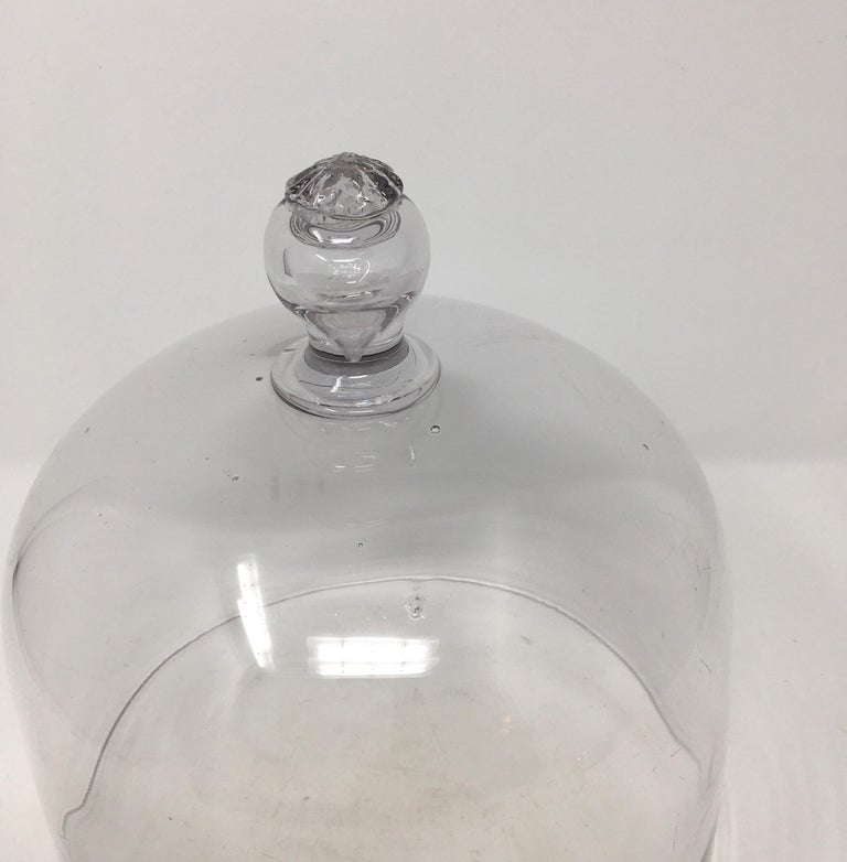 French Antique Glass Dome Cloche at 1stDibs