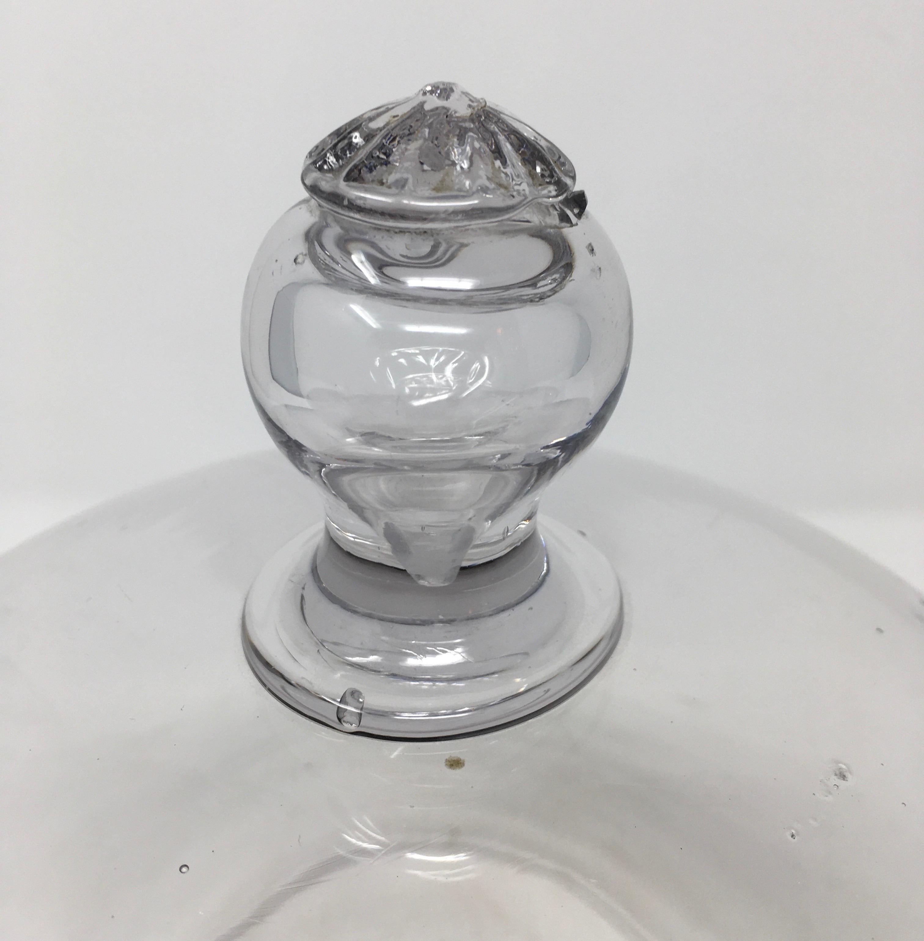 French Antique Glass Dome Cloche 1