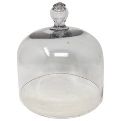 French Vintage Glass Dome Cloche