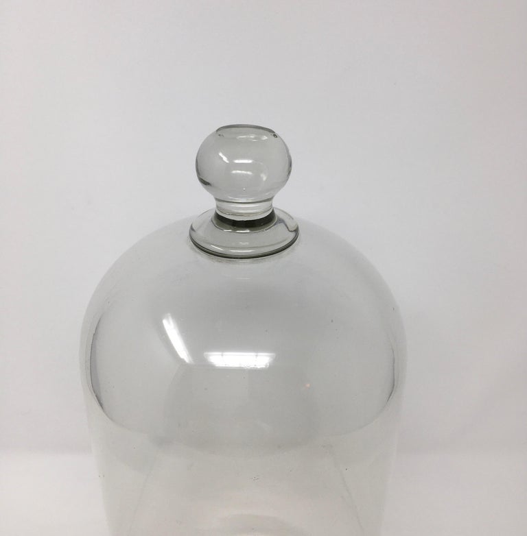 French Antique Glass Dome, Cloche with Solid Glass Knob Handle at