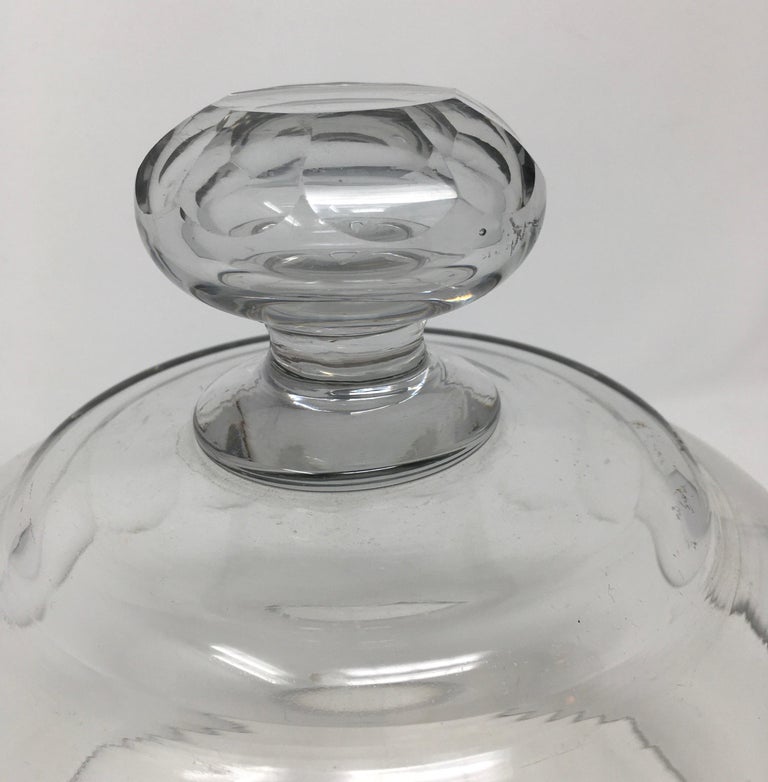 French Antique Glass Dome, Cloche with Solid Glass Knob Handle at 1stDibs