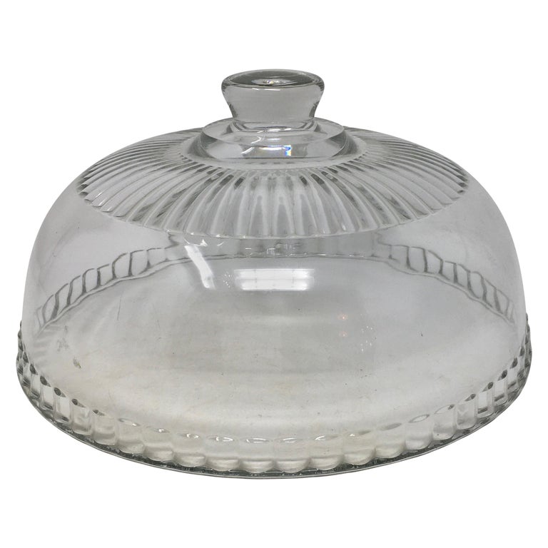 French Antique Glass Dome, Cloche with Solid Glass Knob Handle at 1stDibs