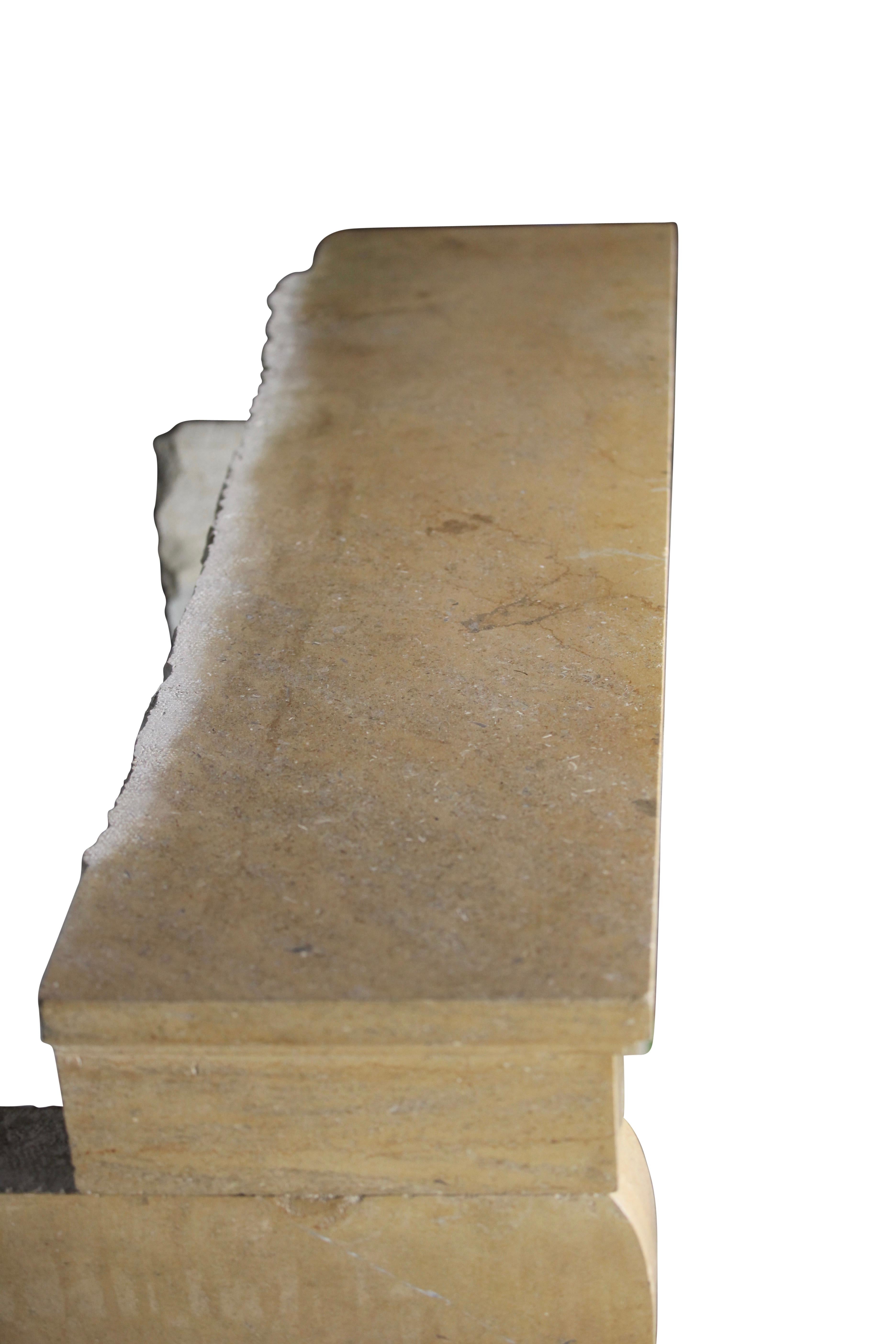 Encadrement de cheminée en pierre calcaire dure bicolore d'antiquités française pour une vie intemporelle en vente 7