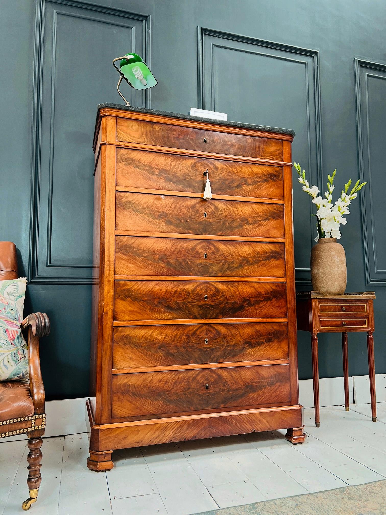 19th Century French Antique Louis Philippe Tallboy Chest of Drawers