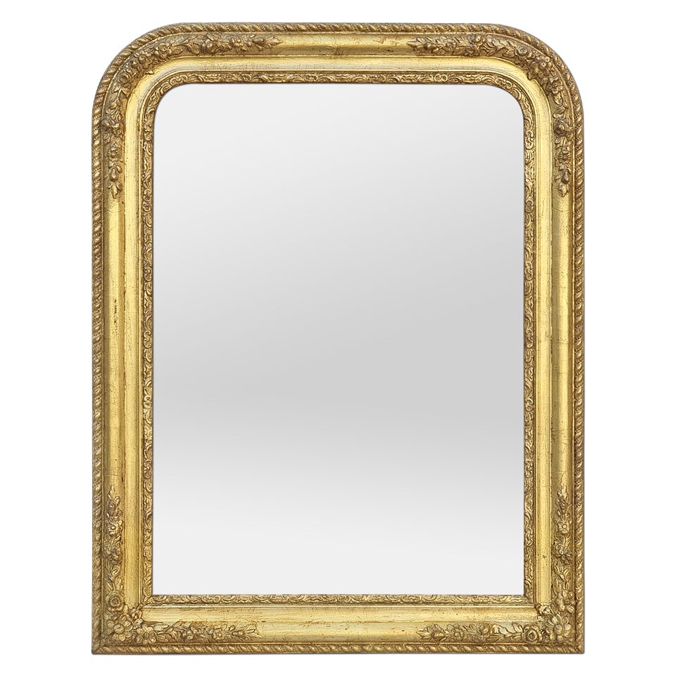 French Antique Mirror, Louis-Philippe Style, Romantic Inspiration, circa 1860
