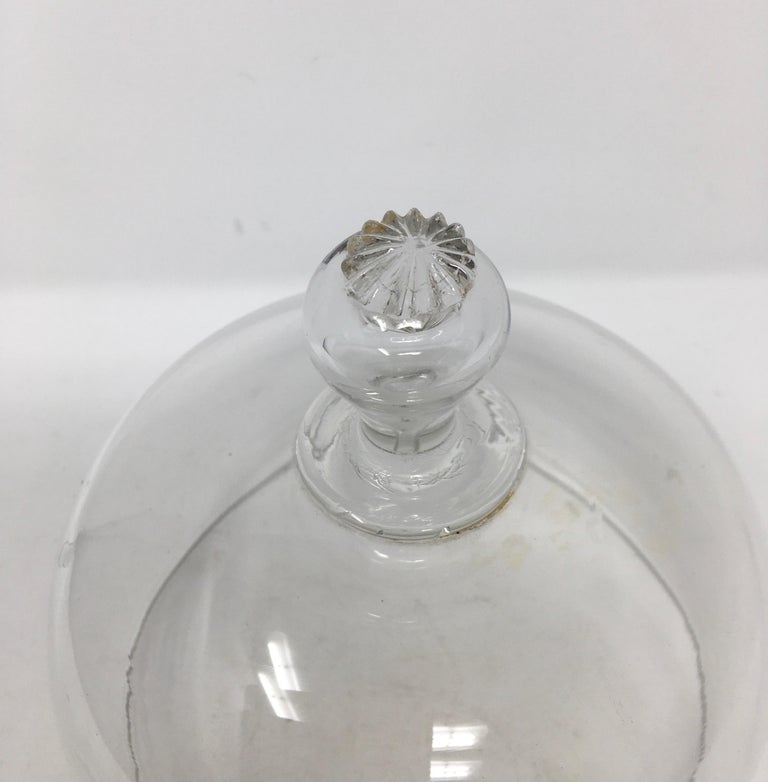 French Antique Patisserie Glass Dome Cloche at 1stDibs