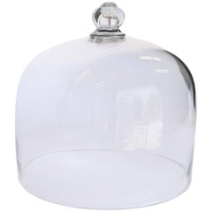 French Antique Patisserie Glass Dome Cloche with Solid Glass Knob Handle