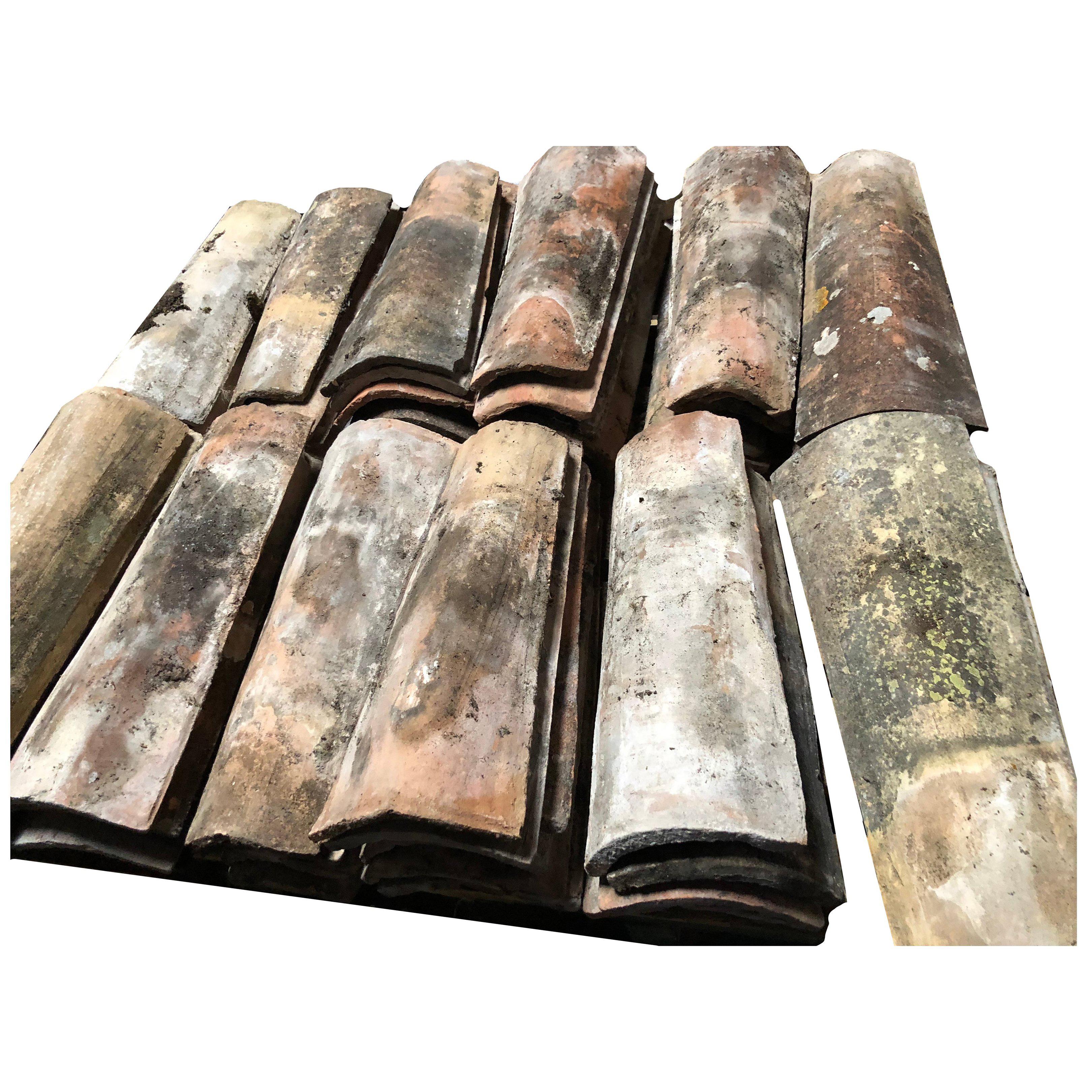 Original and authentic French antique roof tiles in terra cotta from Provence, Paris, East of France, 19th century, from France.
More info on demand.



   