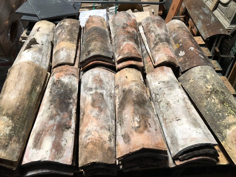 French Antique Roof Tiles from Provence, 19th Century, France For Sale