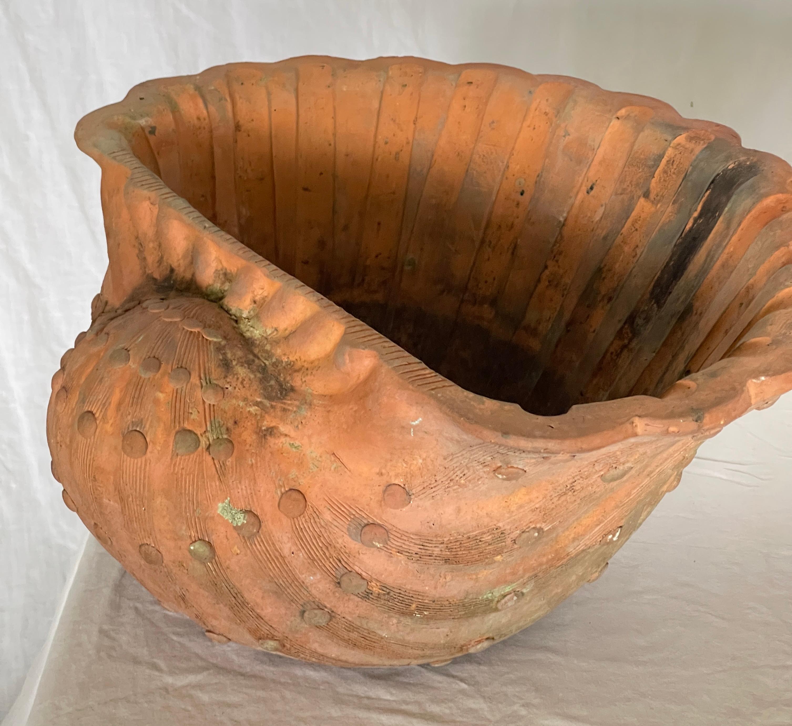 French Antique Set of Three Terracotta Large Shell Planters, 1940s For Sale 4