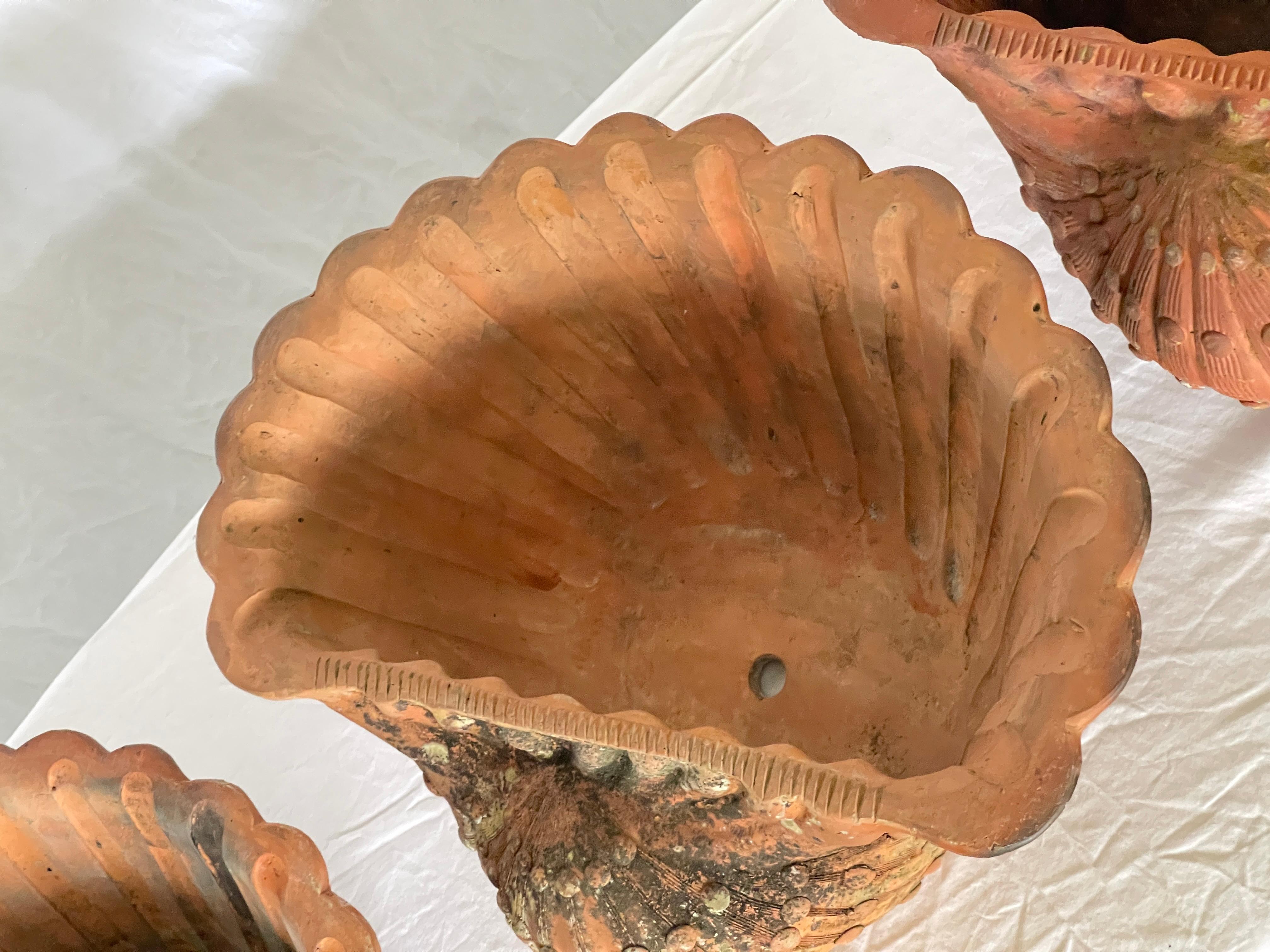 French Antique Set of Three Terracotta Large Shell Planters, 1940s For Sale 5