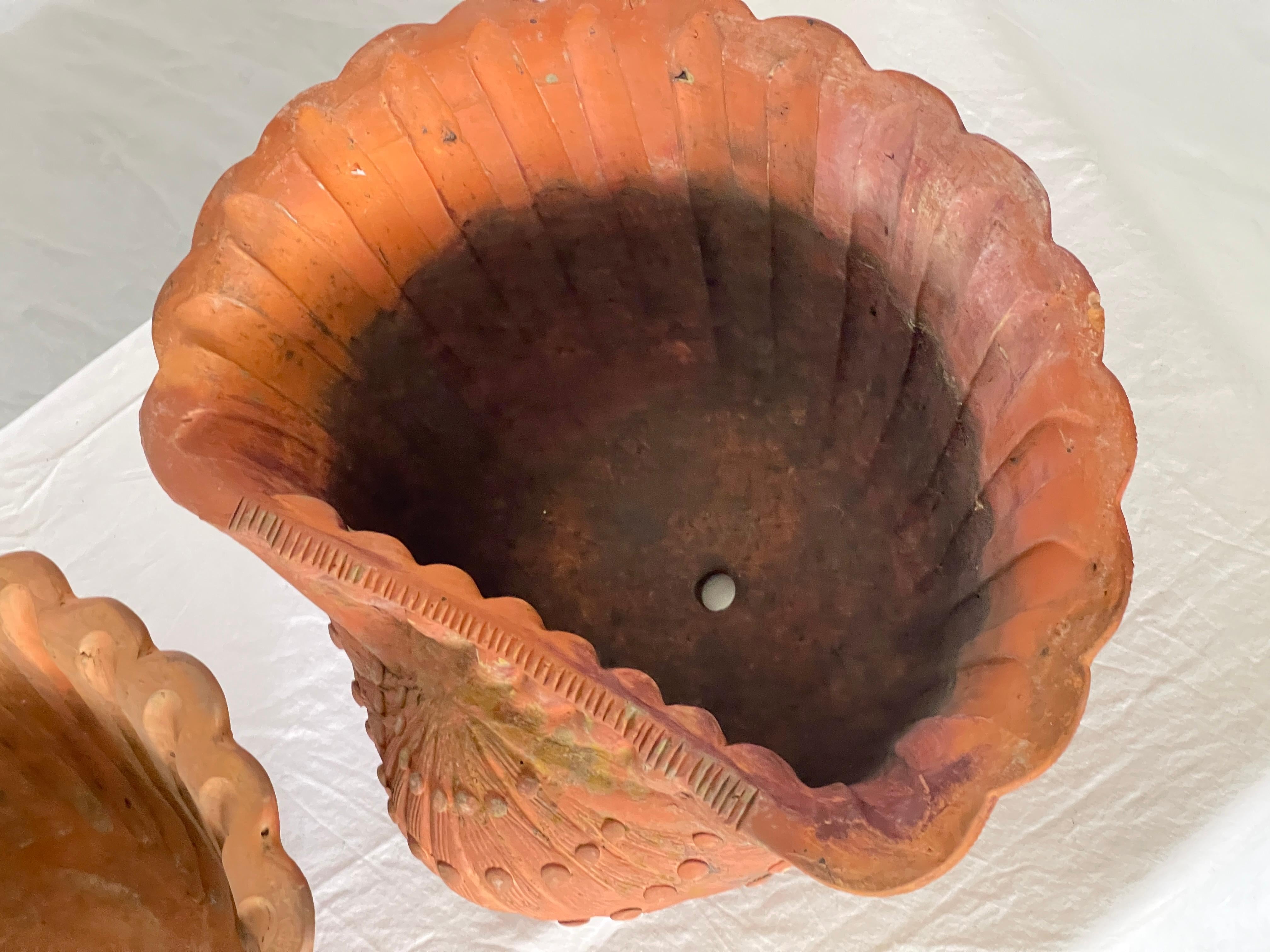 French Antique Set of Three Terracotta Large Shell Planters, 1940s For Sale 6