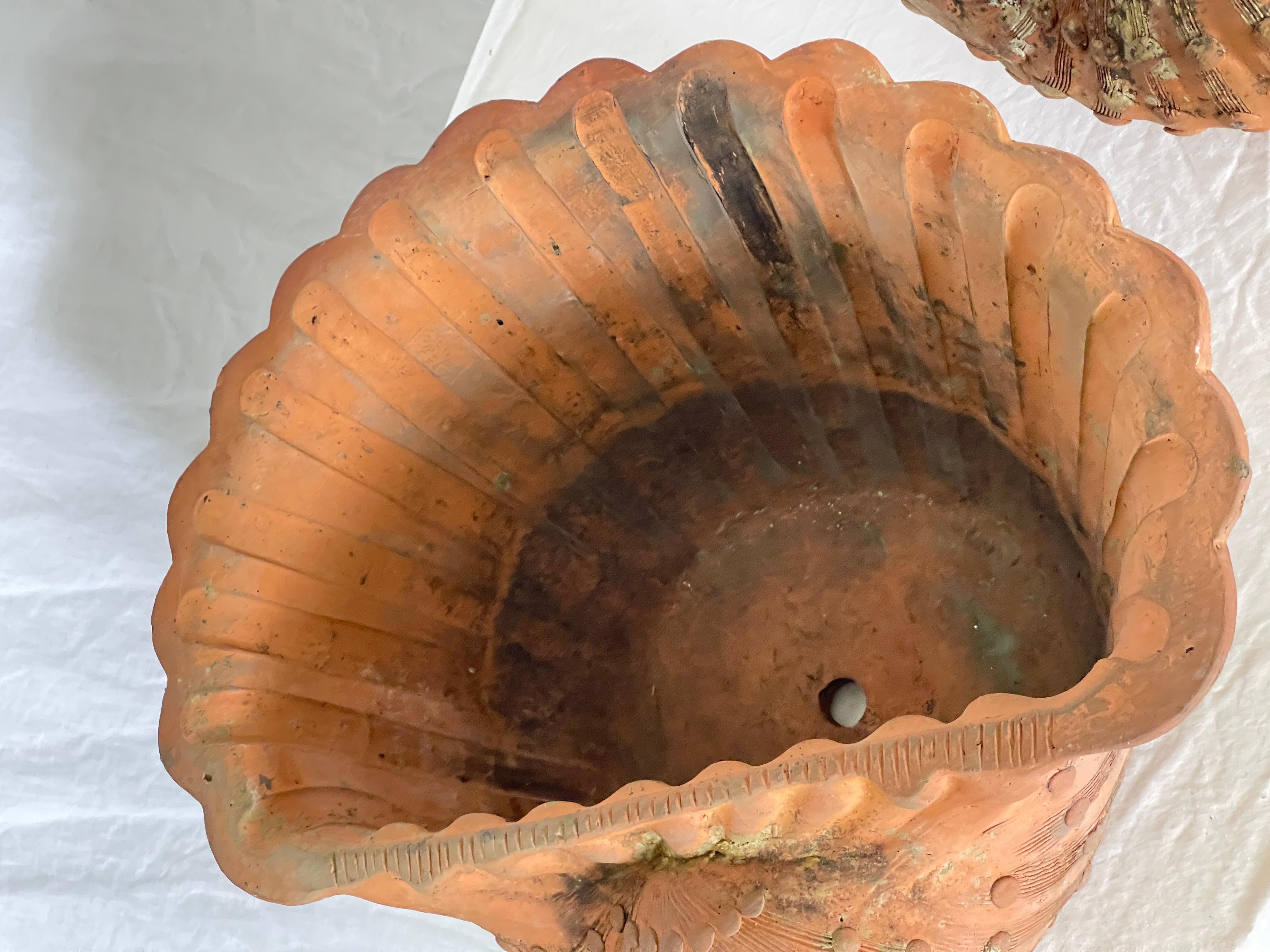 French Antique Set of Three Terracotta Large Shell Planters, 1940s For Sale 7