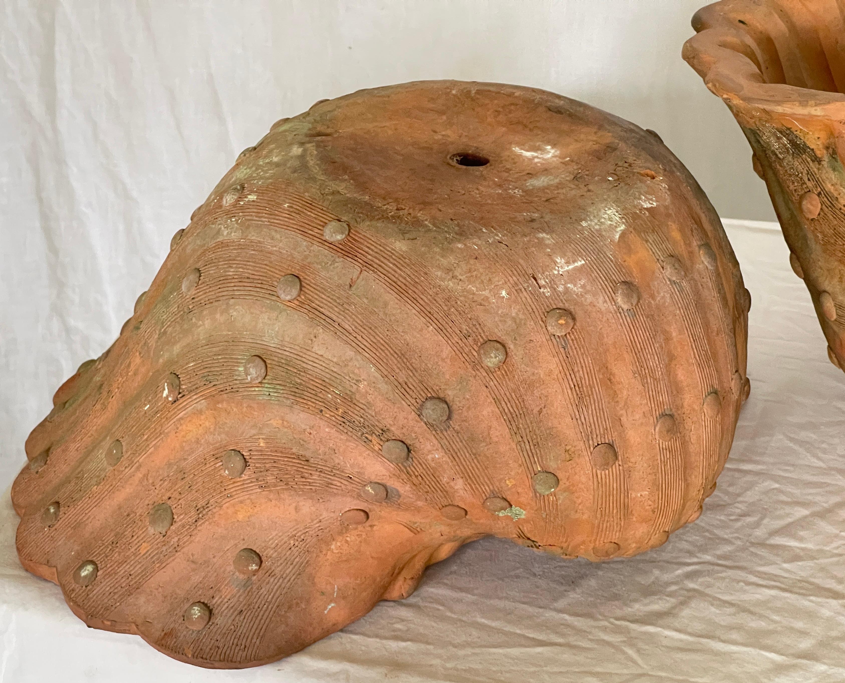French Antique Set of Three Terracotta Large Shell Planters, 1940s For Sale 10