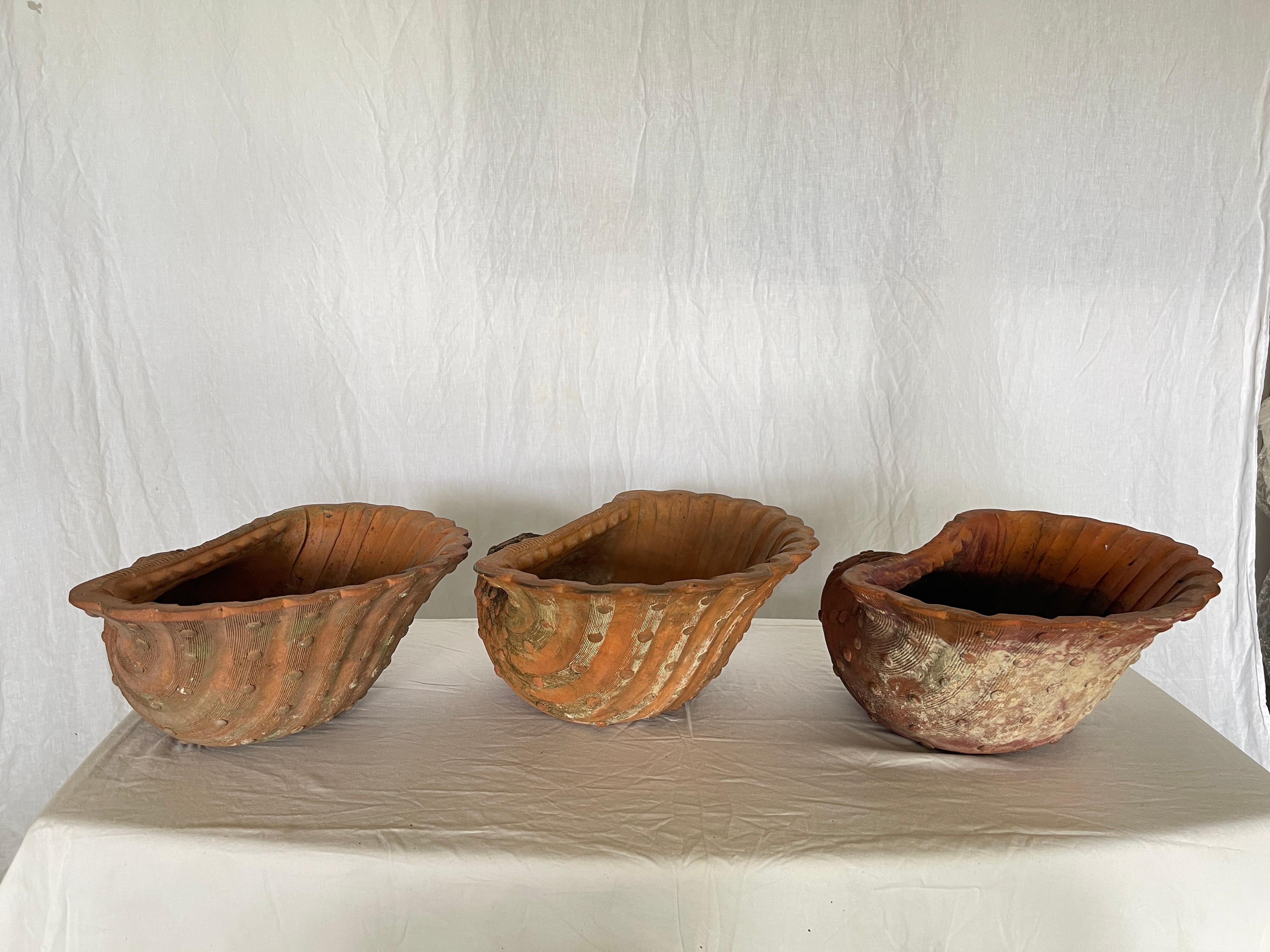Just in this fabulous rare Set of Three Terracotta Large Shell or conch shell, Planters, Antique French 1940s.
Such an incredible find, this set is beautifully weathered and in great condition, no chips or repairs, discovered in  the South of