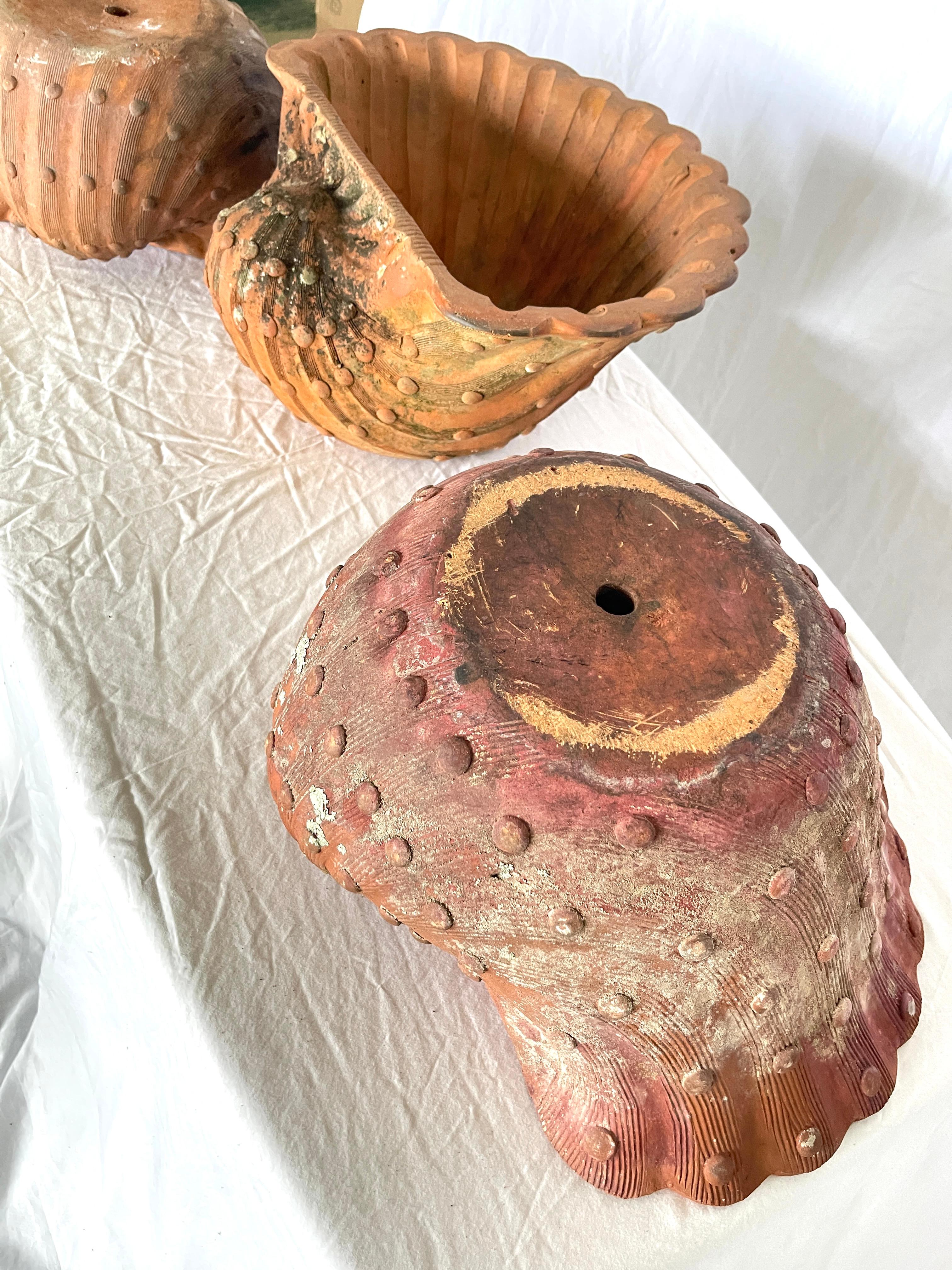 French Antique Set of Three Terracotta Large Shell Planters, 1940s For Sale 14
