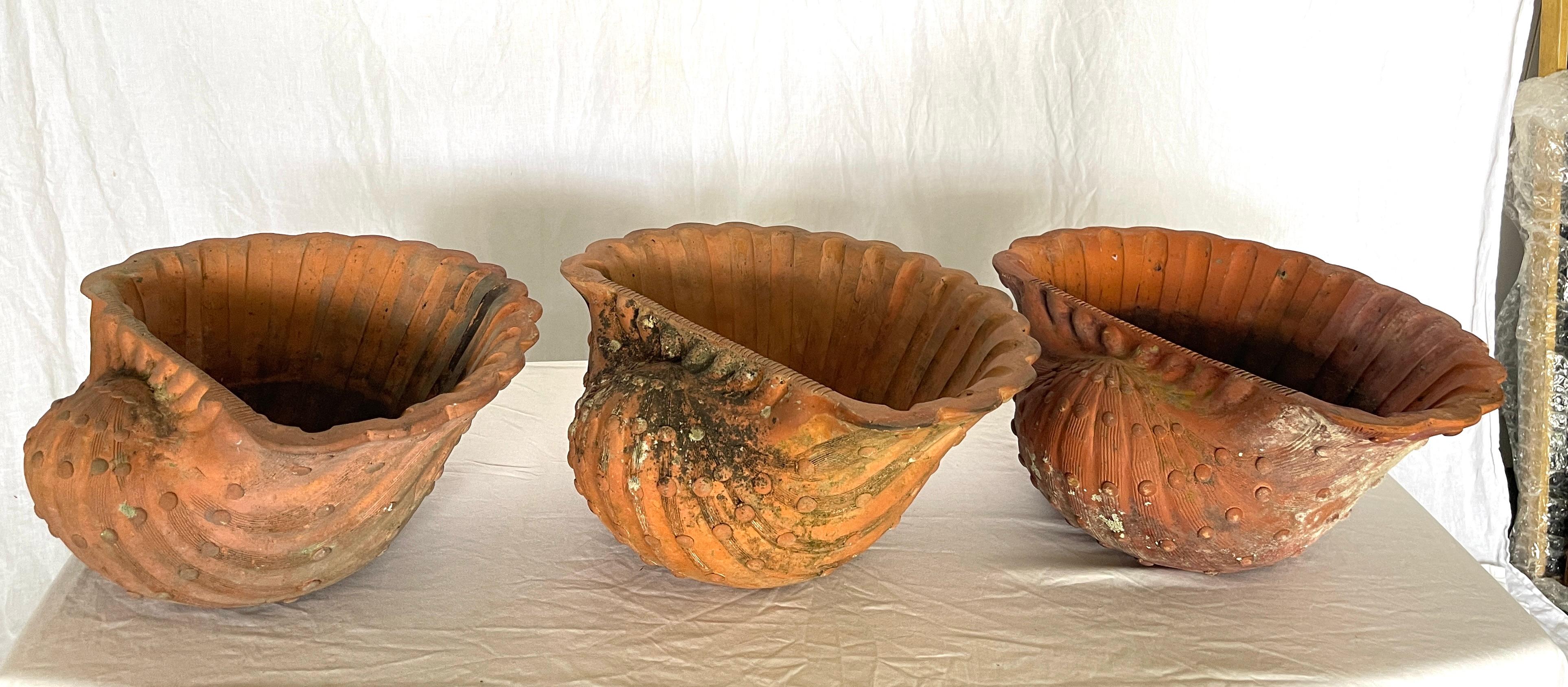 Hand-Crafted French Antique Set of Three Terracotta Large Shell Planters, 1940s For Sale