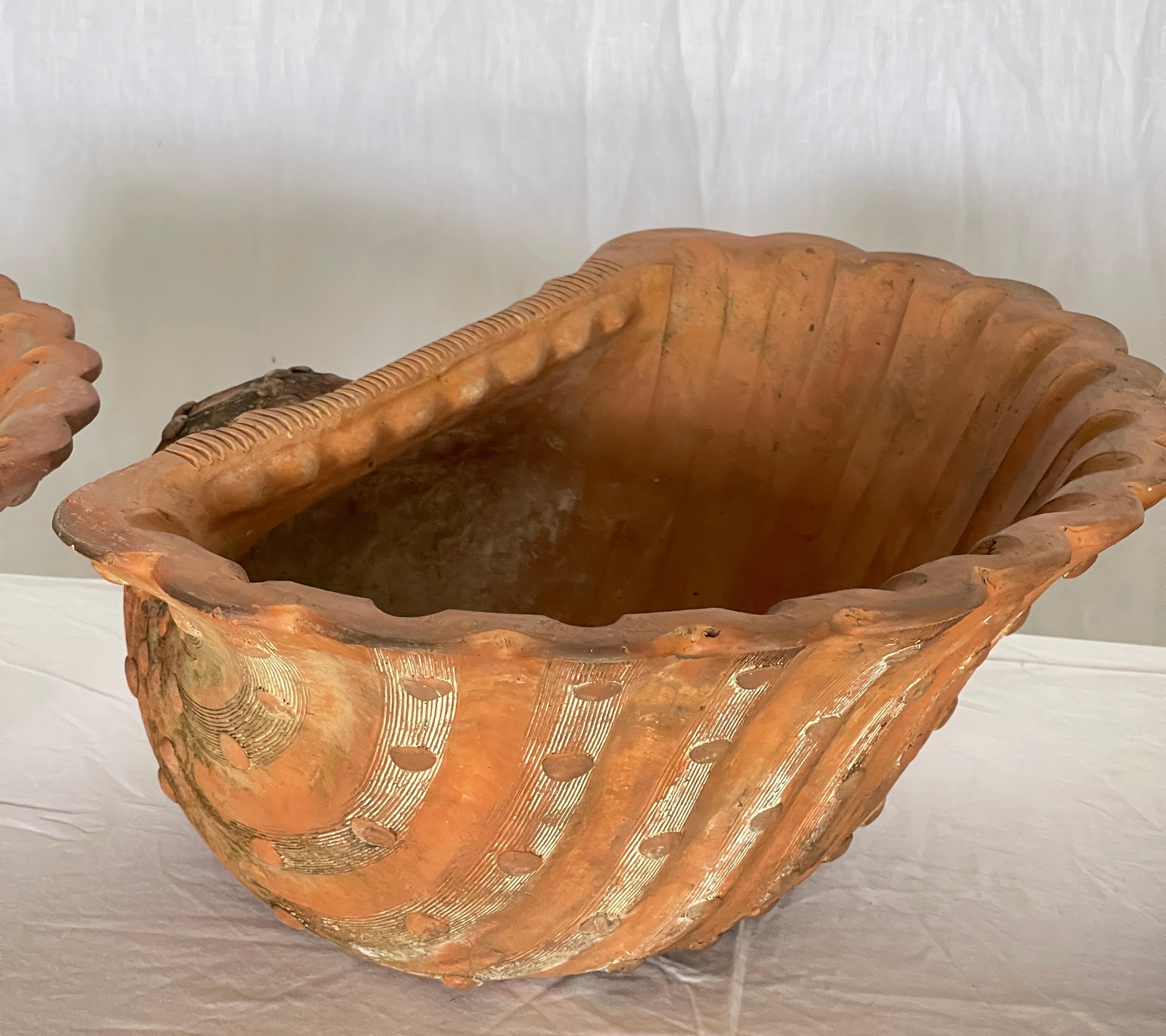 Mid-20th Century French Antique Set of Three Terracotta Large Shell Planters, 1940s For Sale