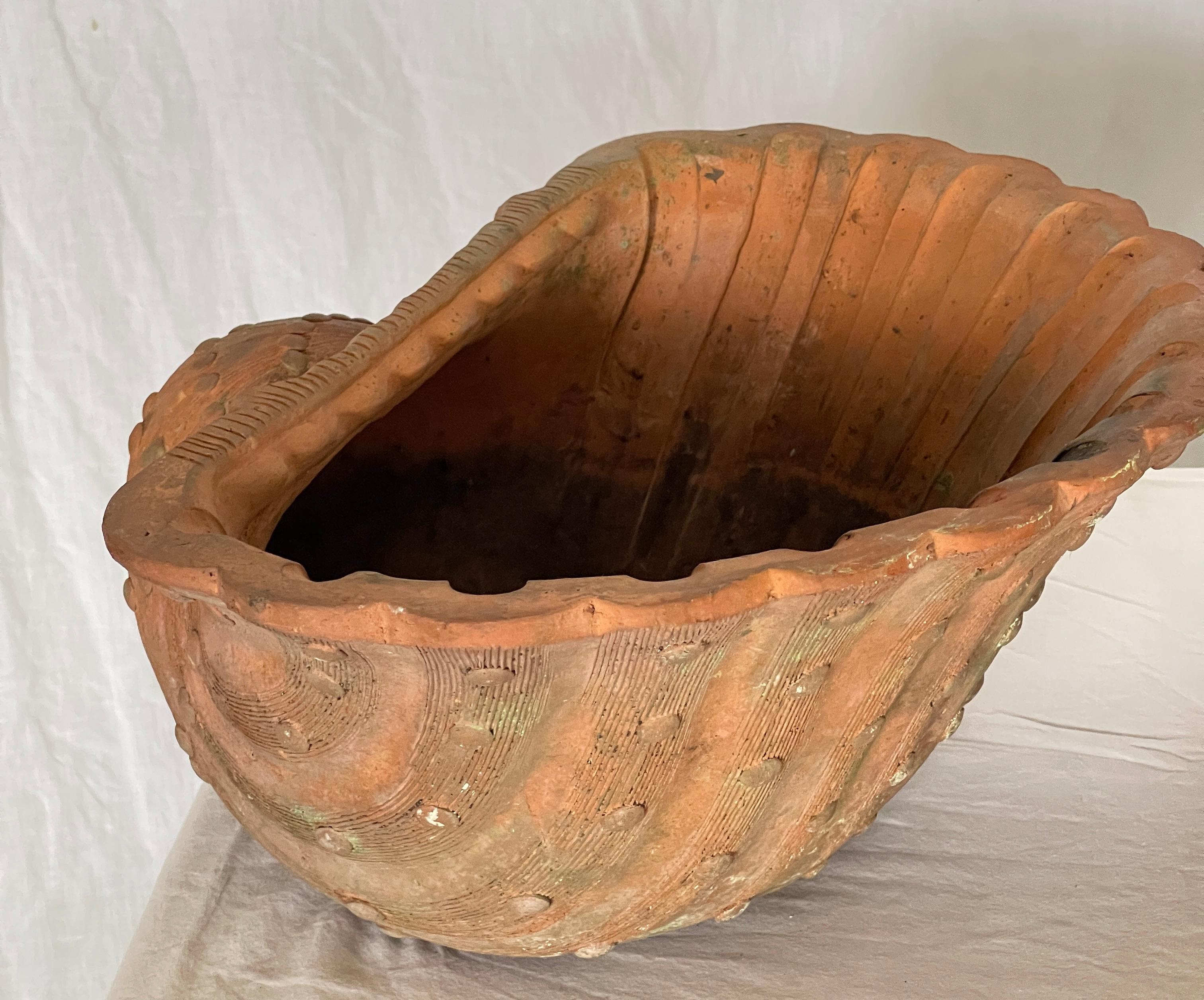 French Antique Set of Three Terracotta Large Shell Planters, 1940s For Sale 1