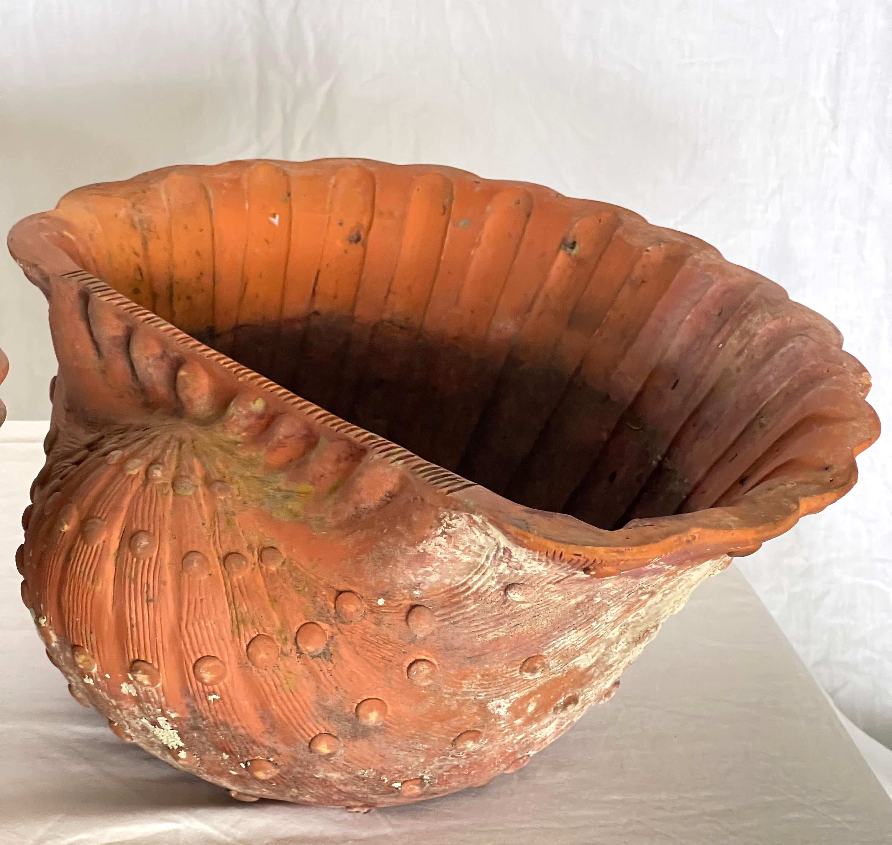 French Antique Set of Three Terracotta Large Shell Planters, 1940s For Sale 2