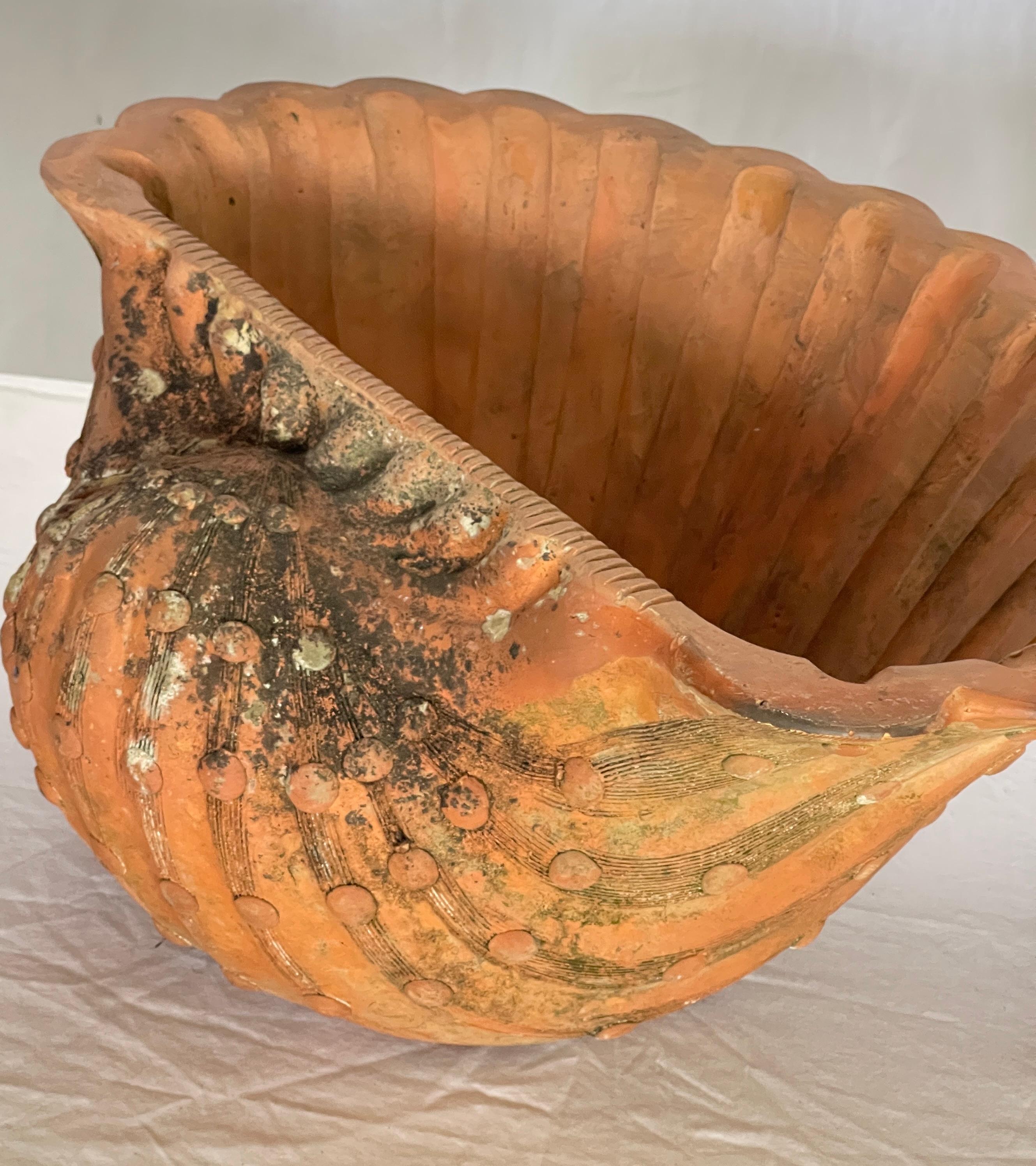 French Antique Set of Three Terracotta Large Shell Planters, 1940s For Sale 3