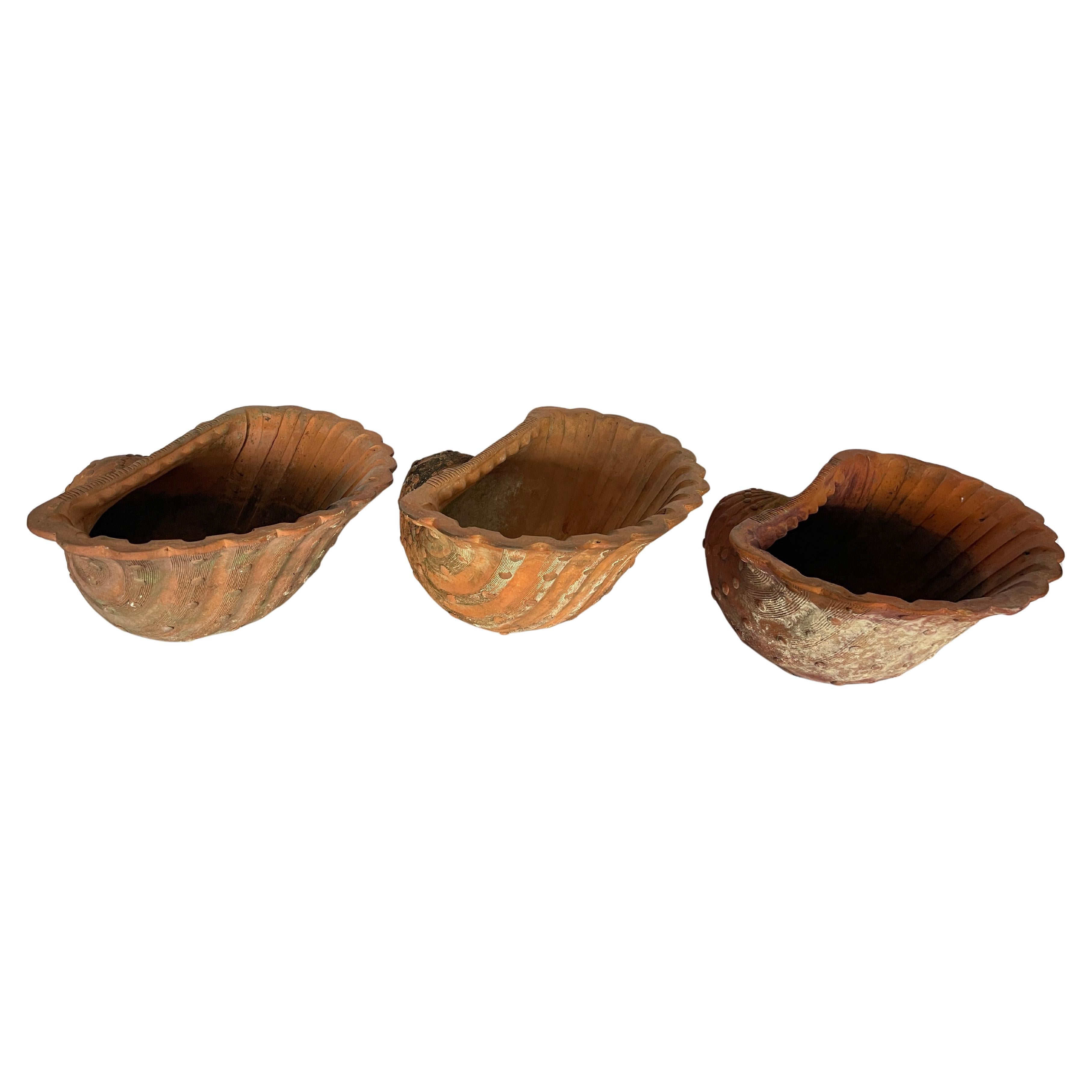 French Antique Set of Three Terracotta Large Shell Planters, 1940s For Sale