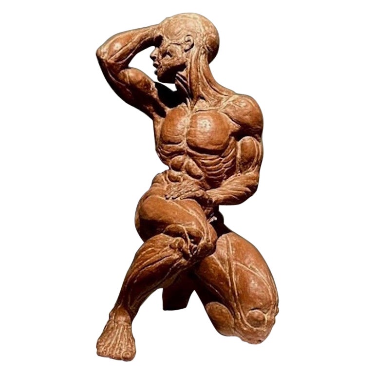 Antique French Modello in terracotta o Écorché di un uomo scorticato