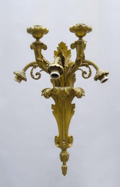 French appliques bronze gilded Louis xv