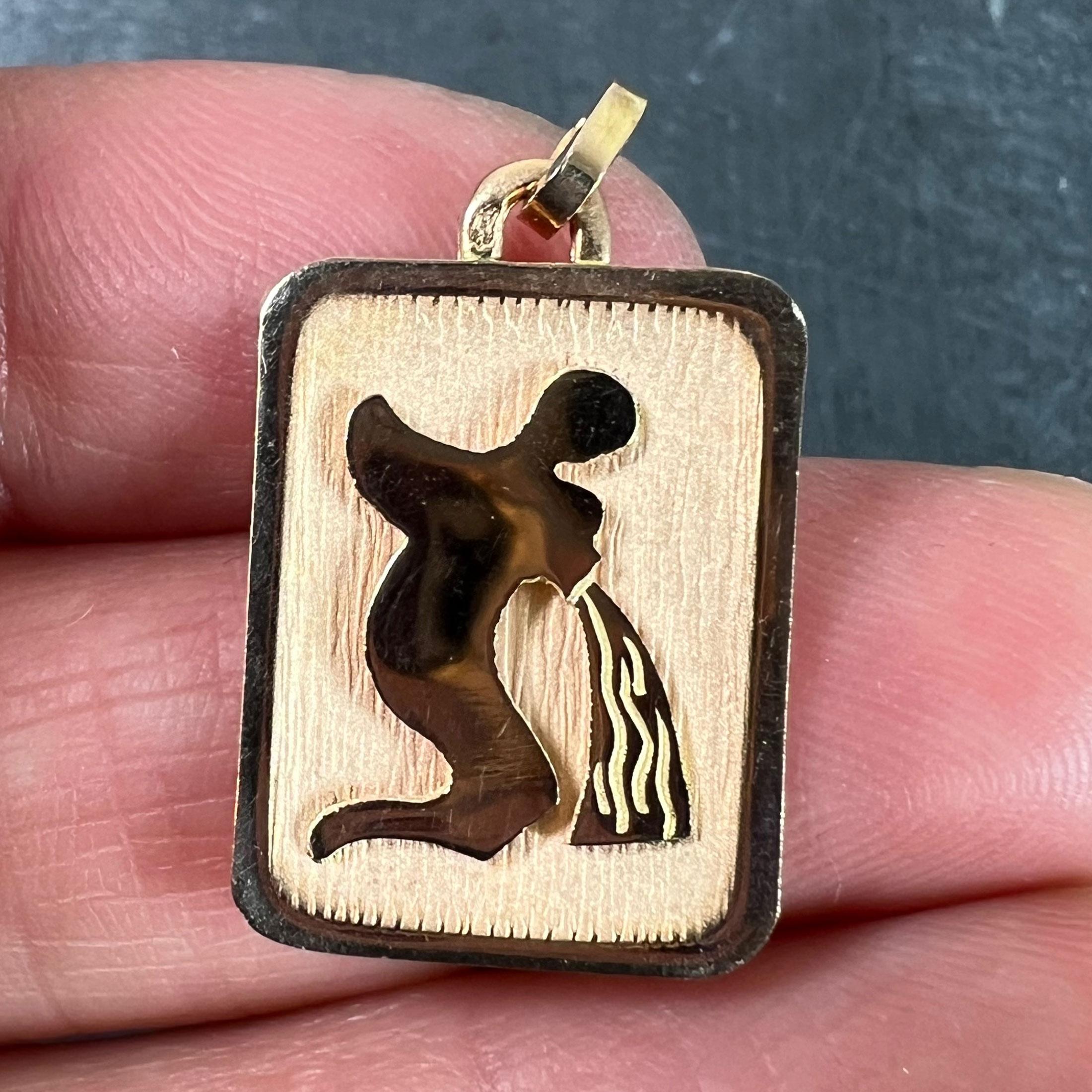 Pendentif médaille à breloques en or jaune 18K signe du Verseau Zodiac en vente 1