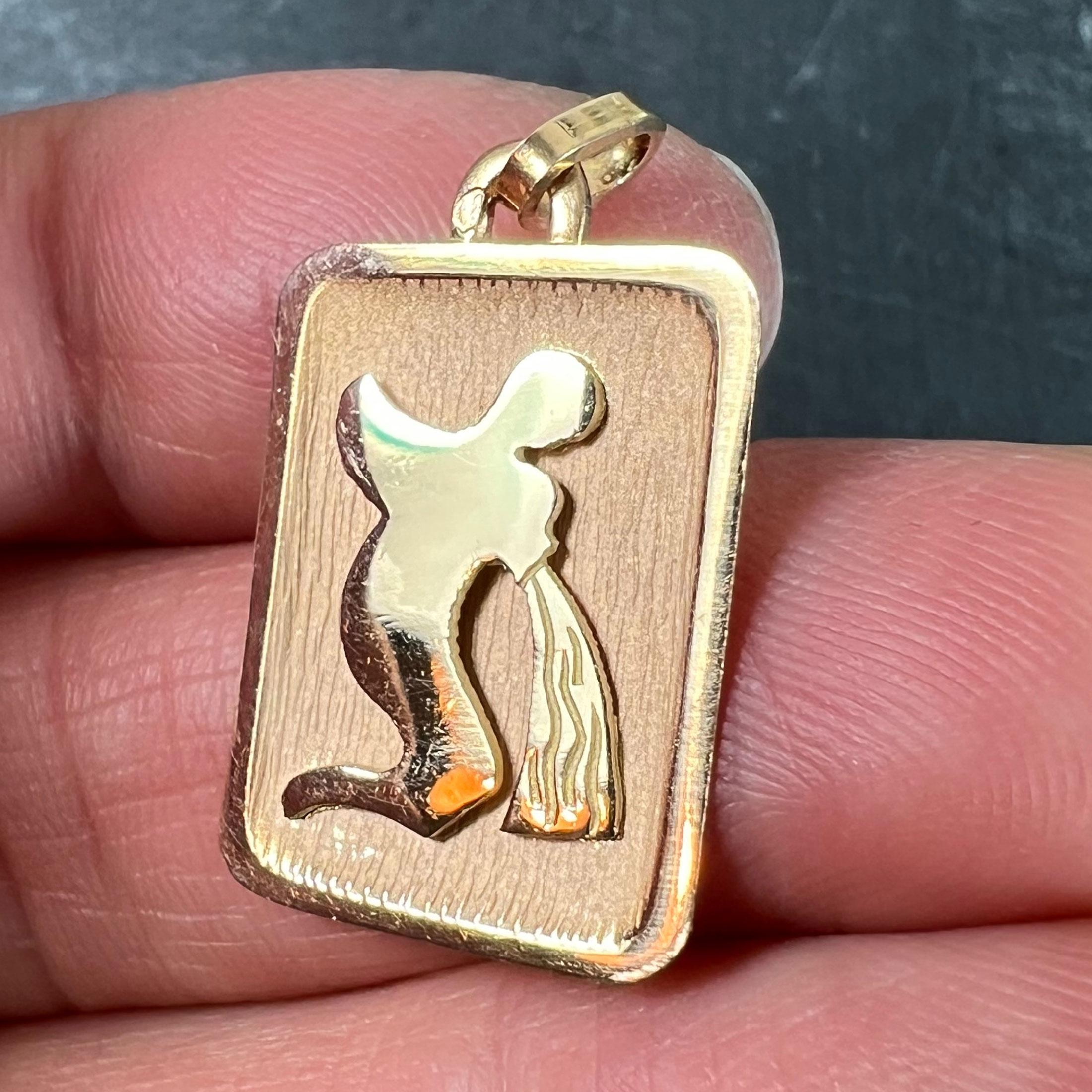 Pendentif médaille à breloques en or jaune 18K signe du Verseau Zodiac en vente 2