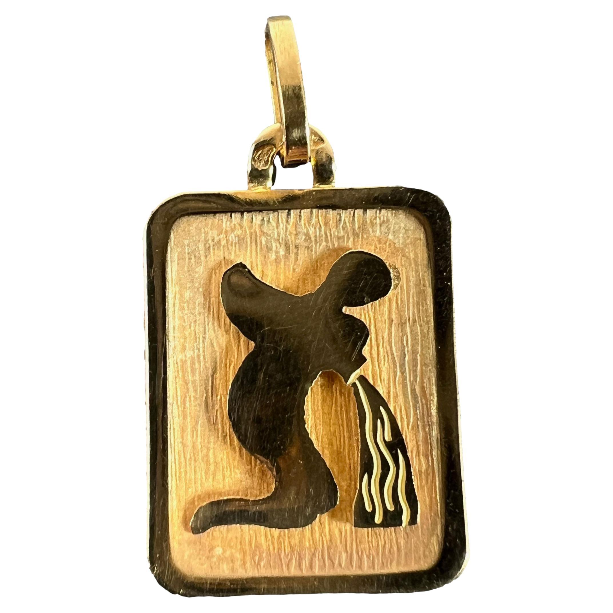 Ciondolo a forma di medaglia con charme in oro giallo 18 carati con segno zodiacale Acquario francese in vendita