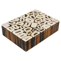 Caja francesa Art Decó de marquetería de hueso y madera de macassar