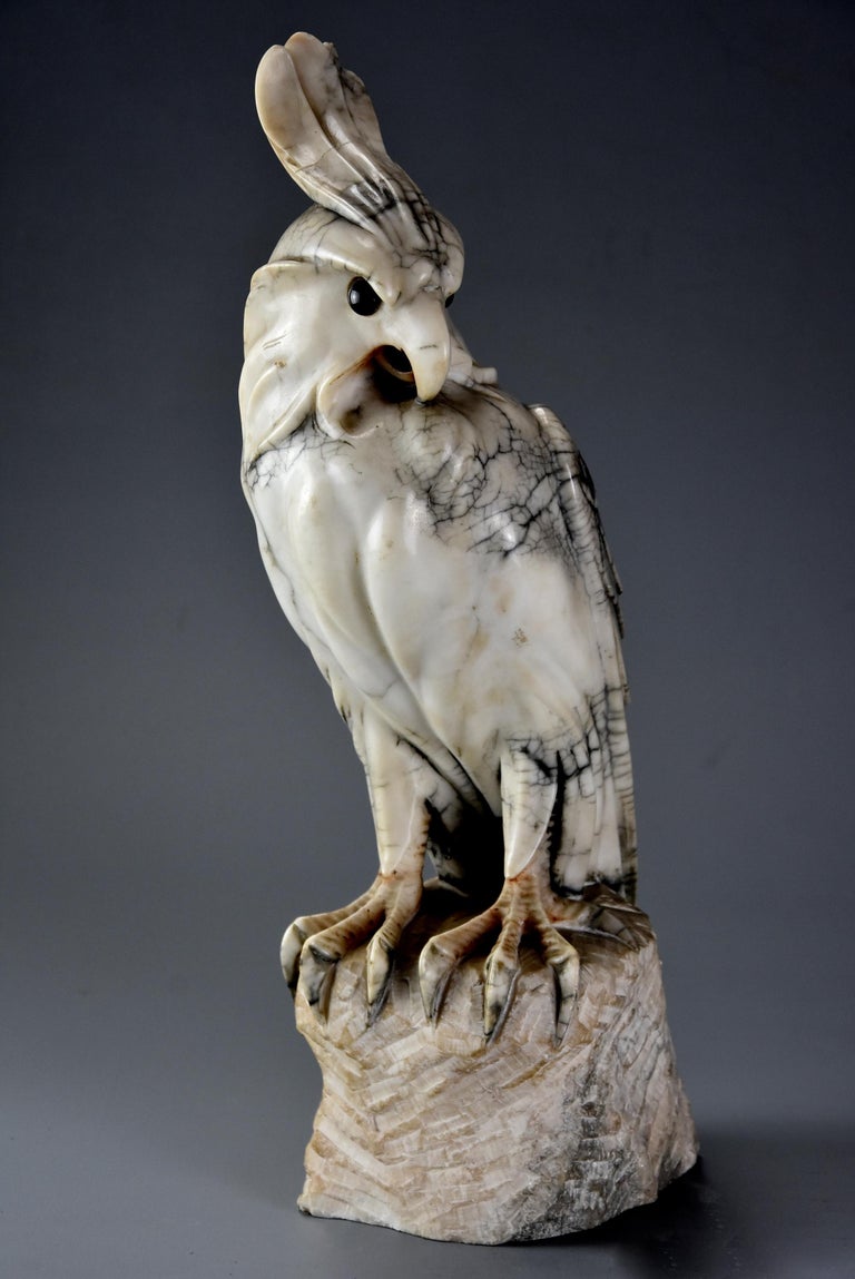 French Art Deco Carved Marble Sculpture of a Crested Cockatoo at 1stDibs