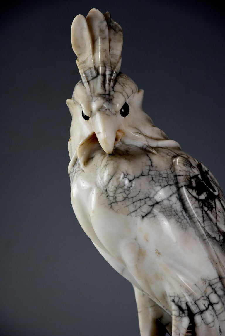 French Art Deco Carved Marble Sculpture of a Crested Cockatoo at 1stDibs