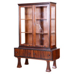 French Art Deco Display Cabinet Made in the 1920s, Makasar Ebony, Restored