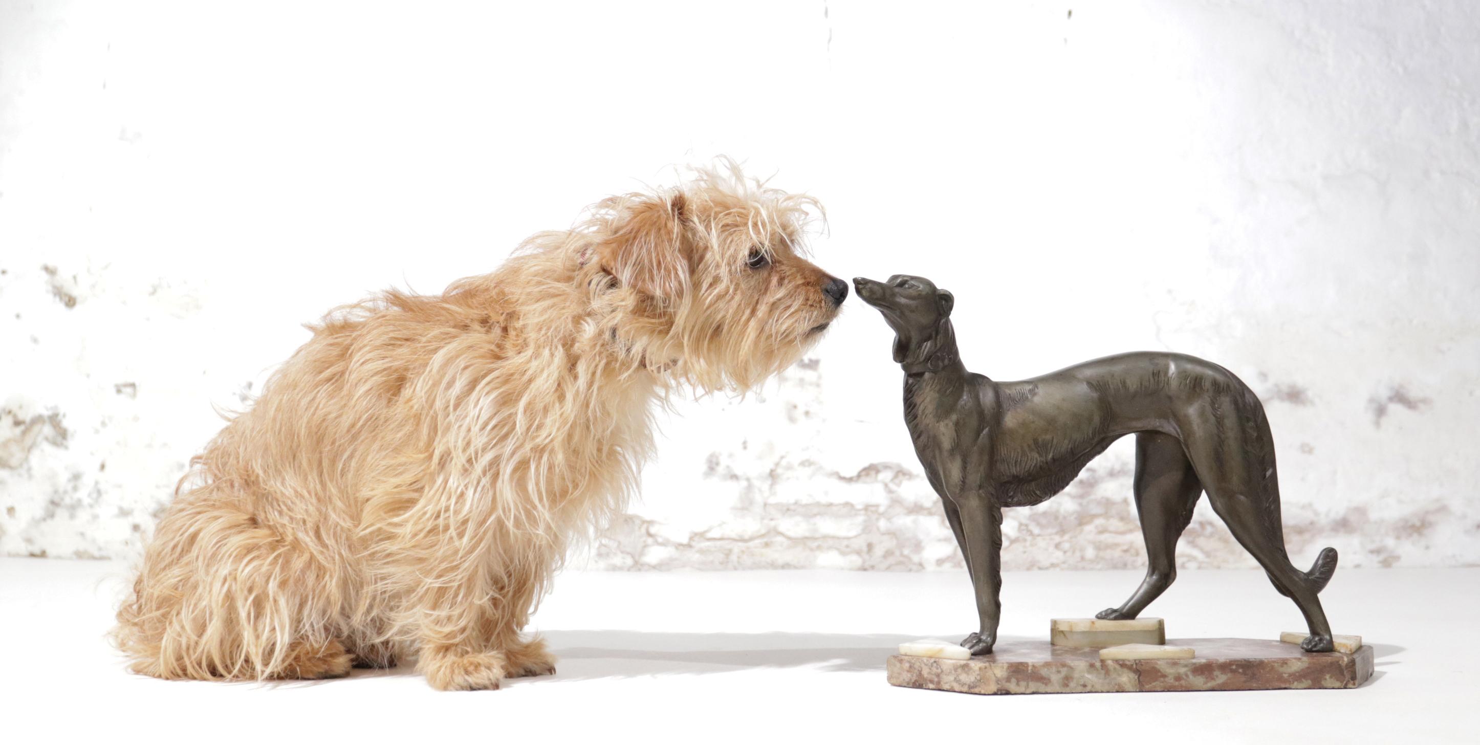 Exquise sculpture française Art Déco d'un Greyhound debout sur une base en marbre fabriquée en France (marquée à l'intérieur de la jambe) vers les années 1920. Fonte en bronze patiné sur une base en marbre et onyx.

Très bon état.