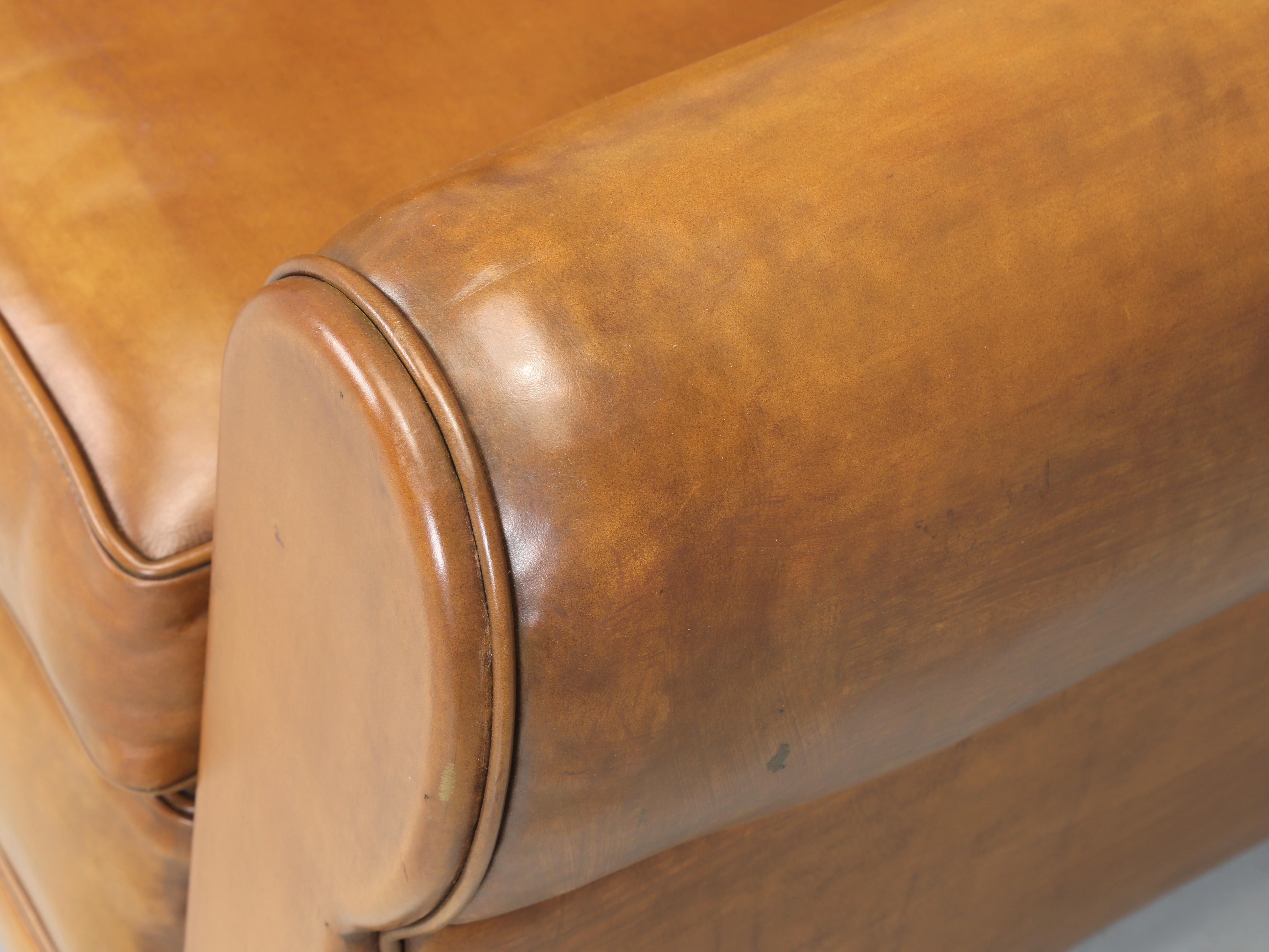 French Art Deco Leather Club Chair Correctly Restored in Horsehair Shredded Coco For Sale 1