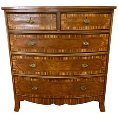 French Art Deco Macassar Ebony Wood Tall Chest Dresser