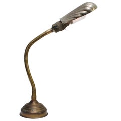 French Art Deco Shell Brass Goose Neck Desk Table Lamp