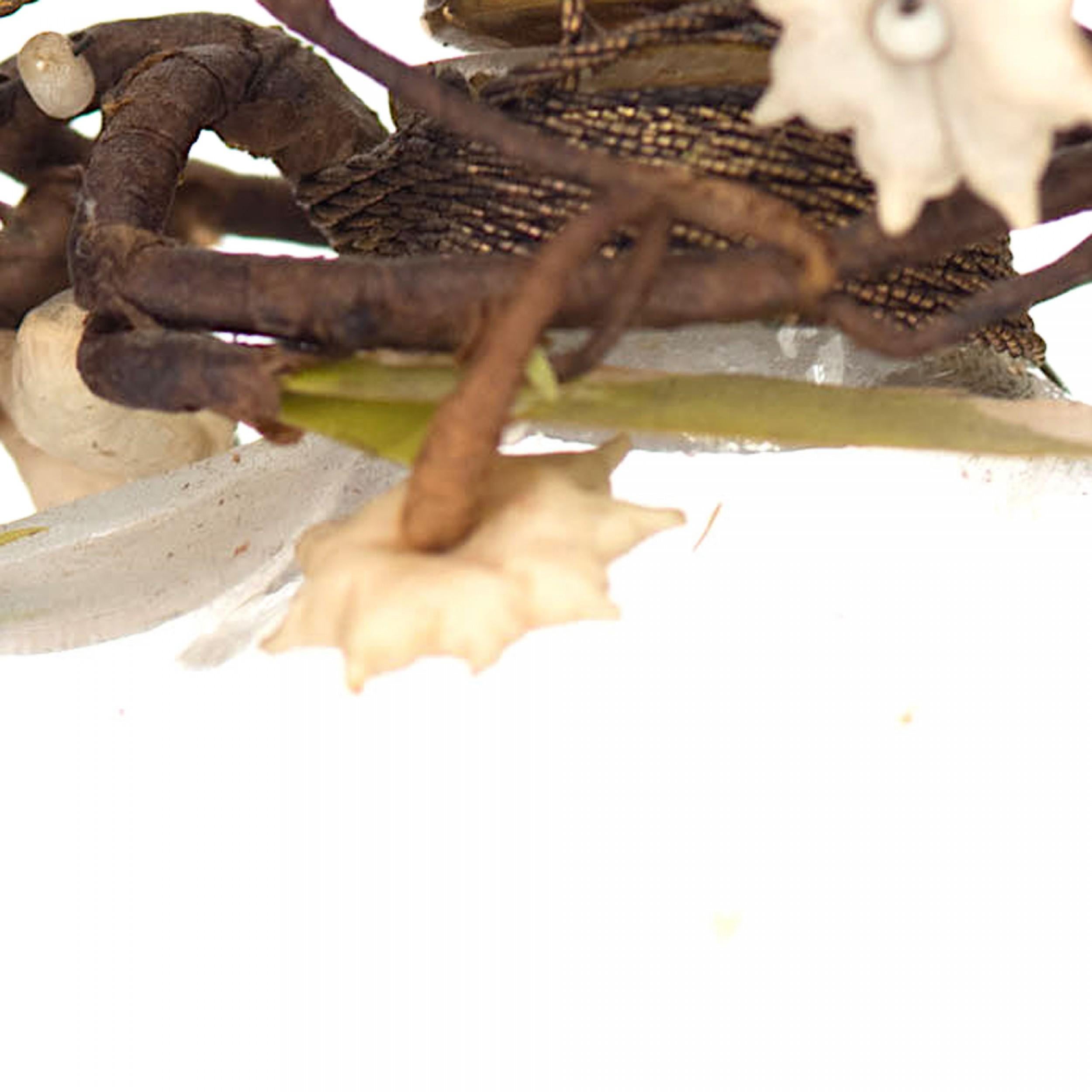 French Art Deco Shocking by Schiaparelli Perfume Bottle In condizioni buone in vendita a Queens, NY