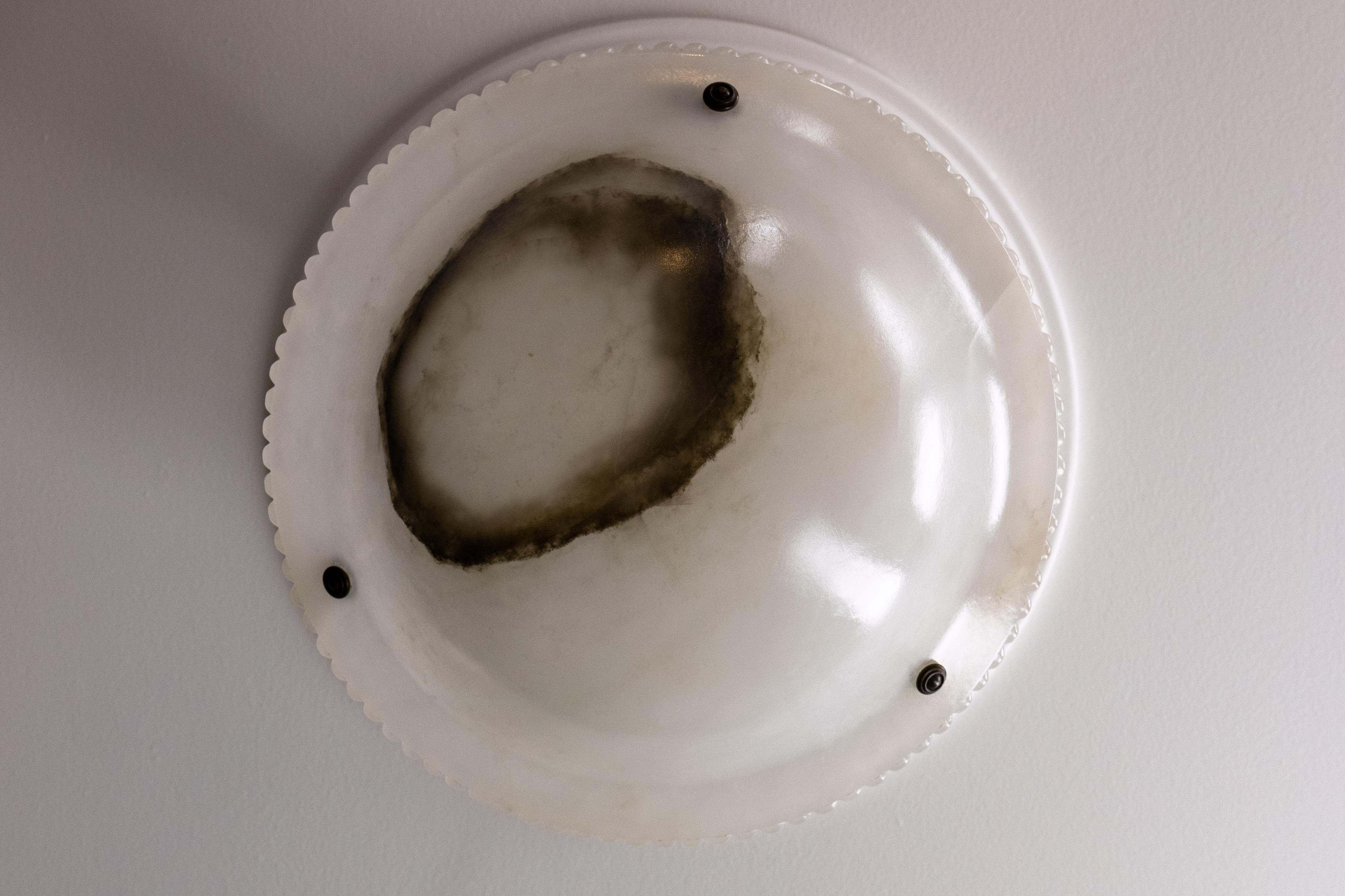 French Art Deco White Alabaster Pendant Light, ca 1920 For Sale 6