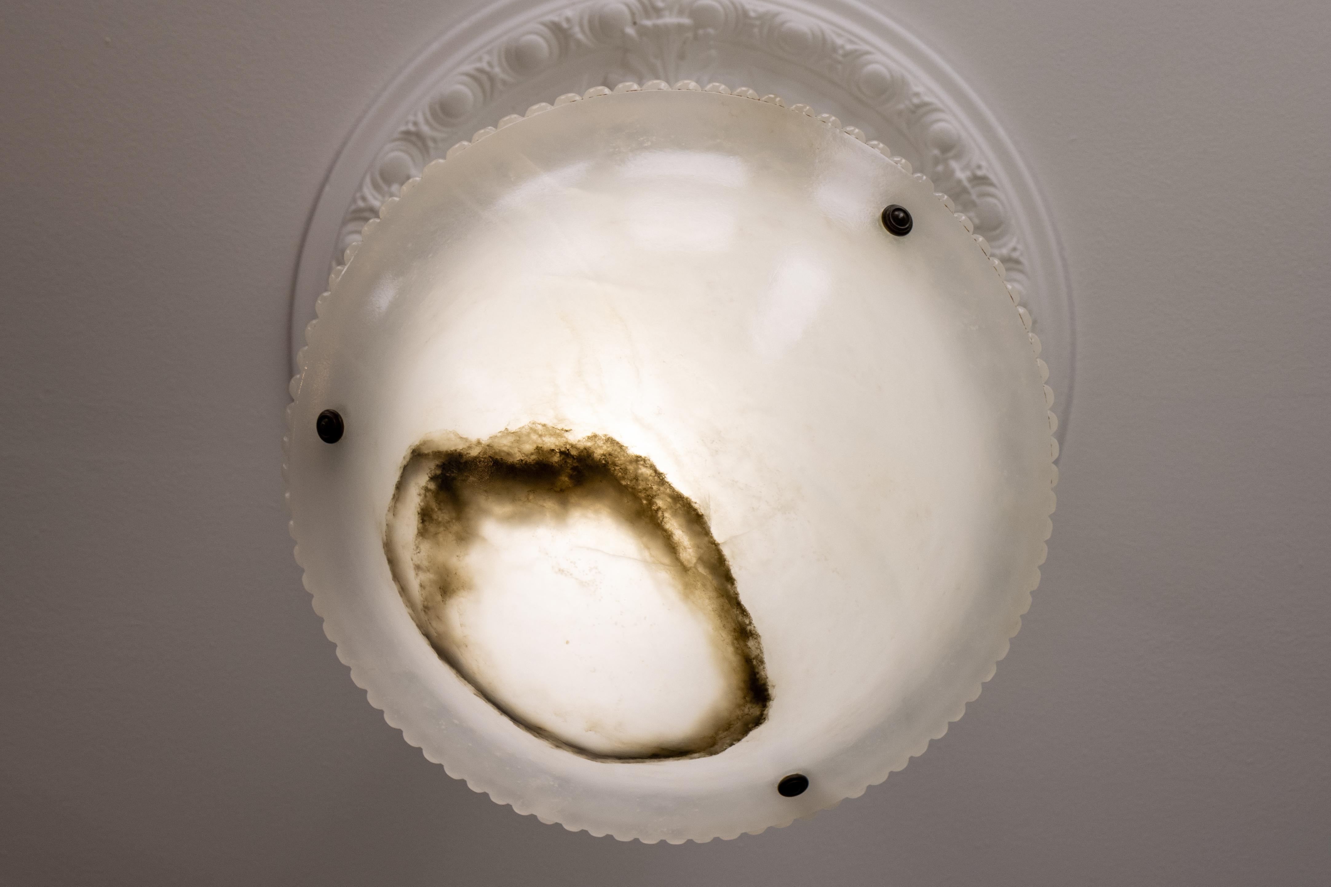 French Art Deco White Alabaster Pendant Light, ca 1920 For Sale 7