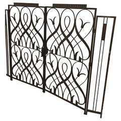 Doors and Gates
