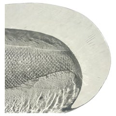 French Art Glass Fish Platter, Sculptural Molded with Textured Relief