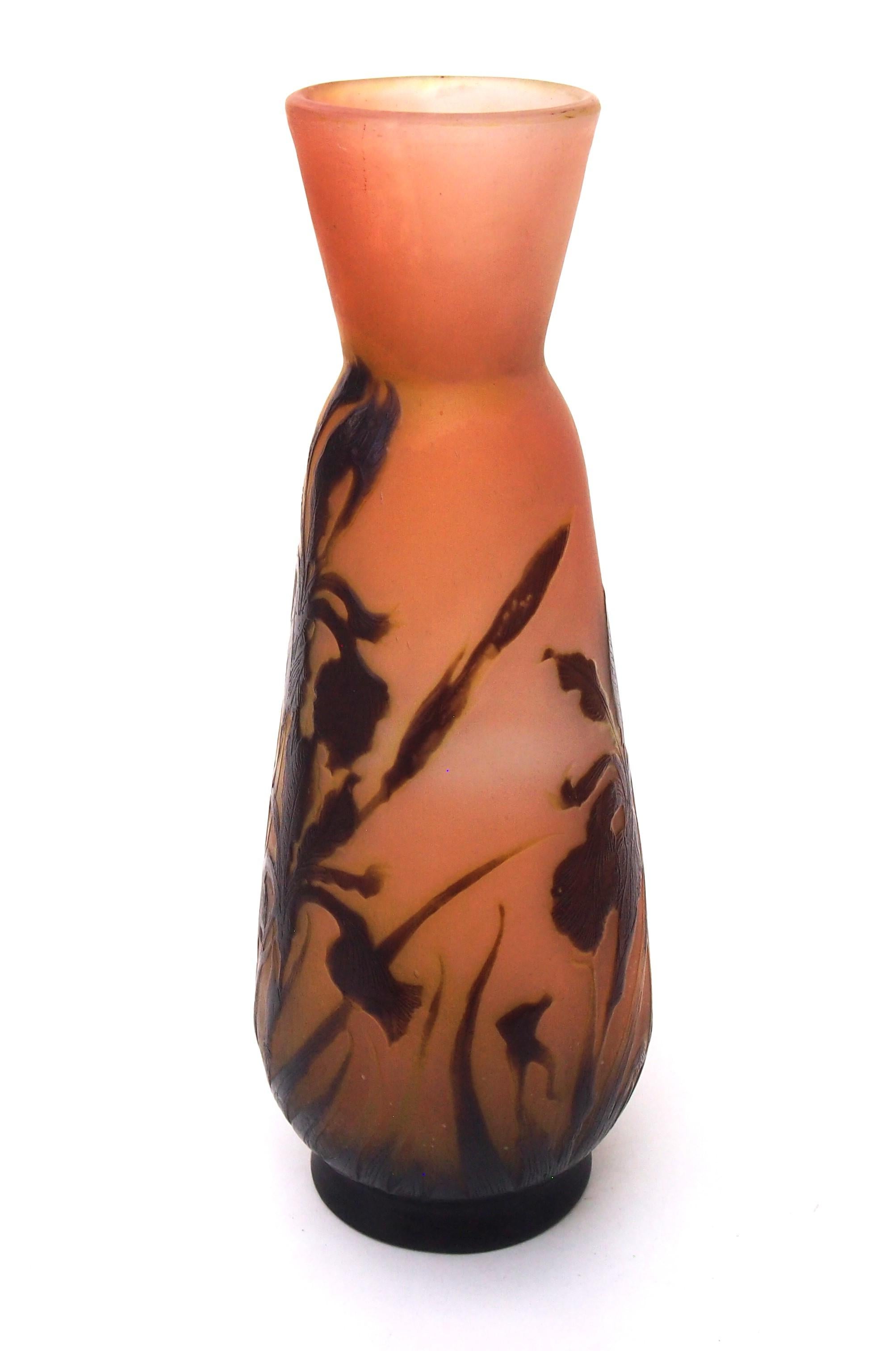 French Art Nouveau Emile Gallé tall cameo vase depicting blooming Irises in brown and green over pink with a flared high collar. The spectacular irises depicted on the vase relate closely to a known Paul Nicolas sketches produced while he was at