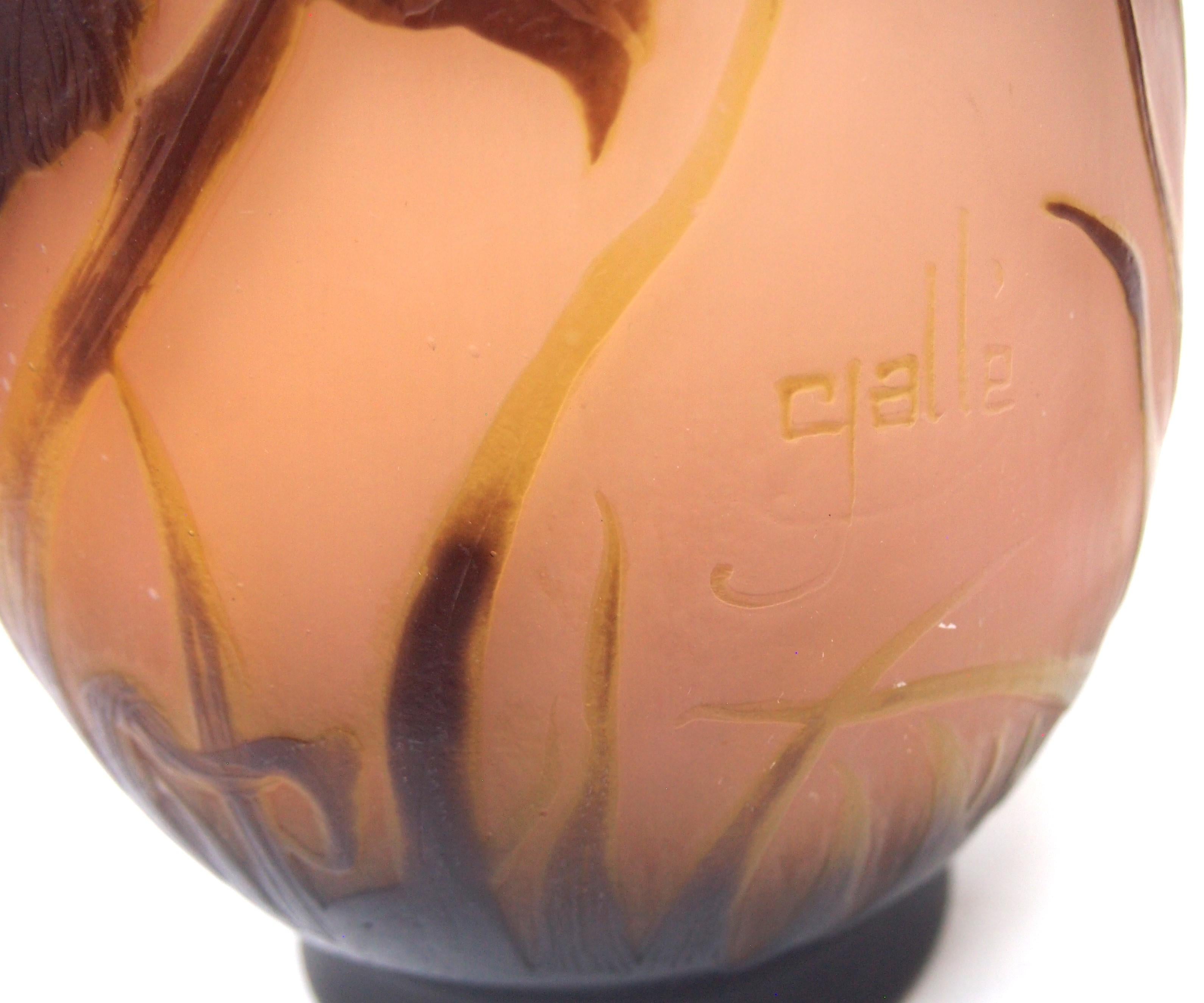 French Art Nouveau Brown & Pink Signed Emile Gallé Iris Cameo Glass Vase c1910 For Sale 1