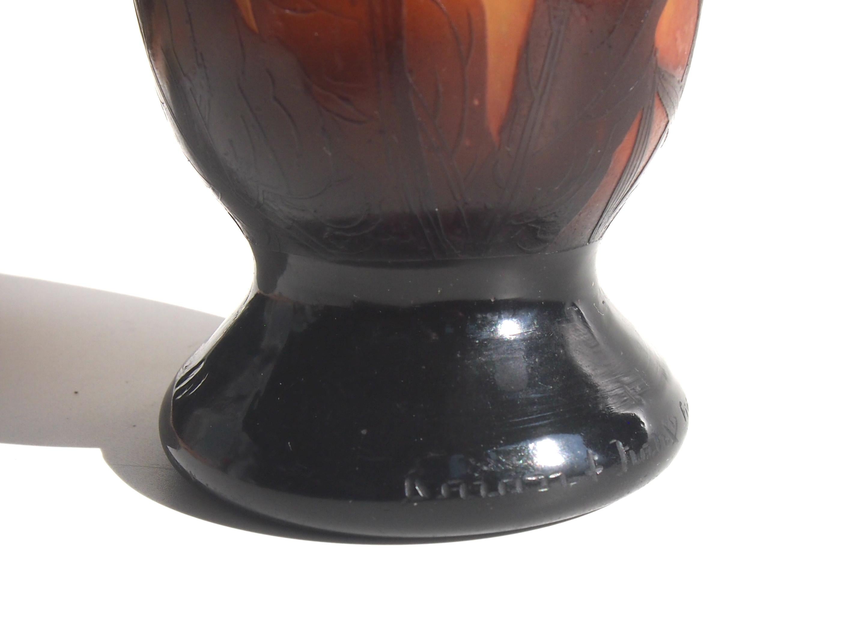 Art Glass French Art Nouveau Daum Cameo and Wheel Carved Glass Nicotiana Vase c1900 For Sale