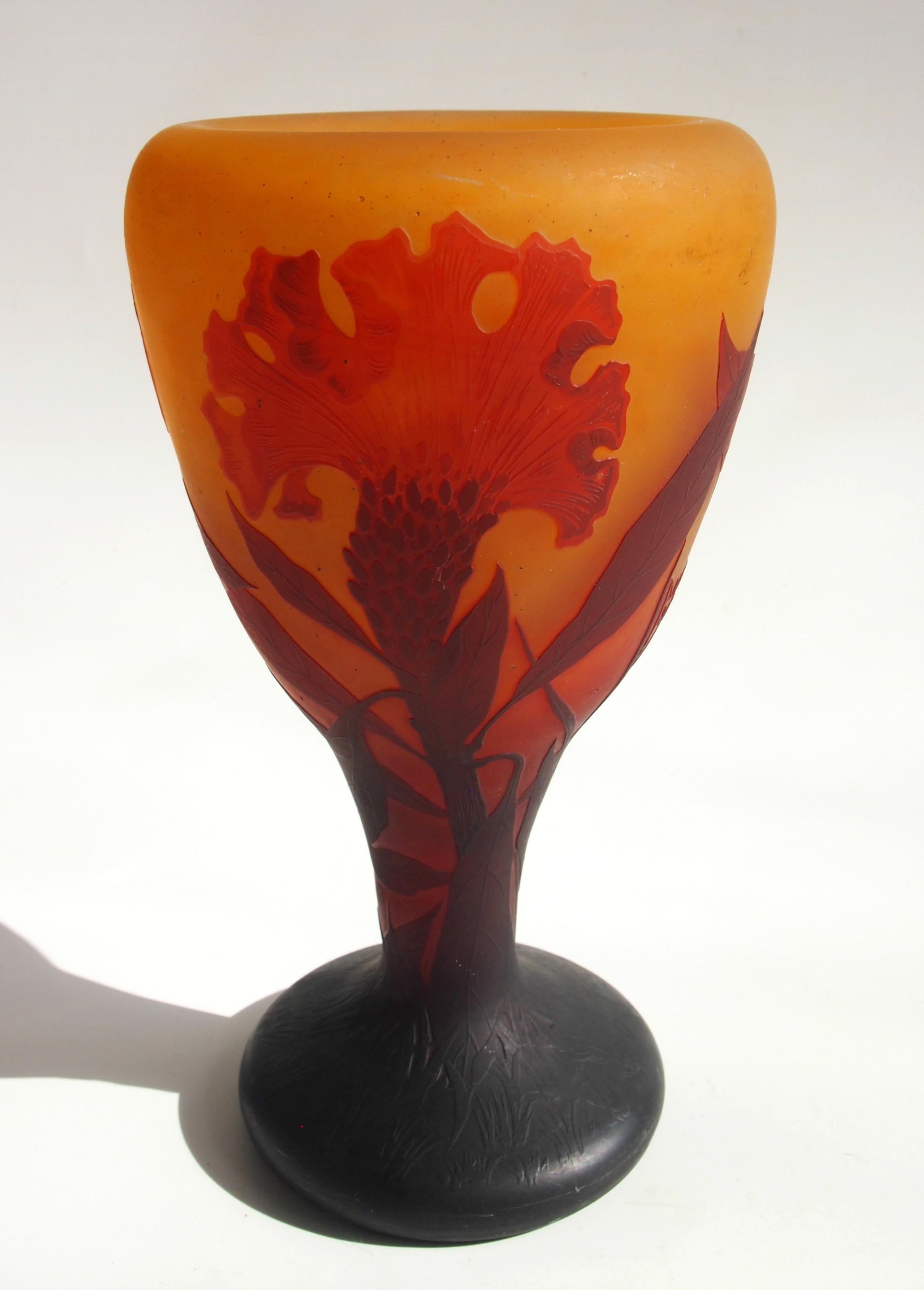 Art Nouveau Daum medium large classic cameo vase depicted the cockscomb plant in black over red over a mottled yellow layer. Une grande partie de la couche noire présente de fins détails 