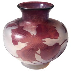 French Art Nouveau Daum Martele and Cameo Glass Botanical Vase c1898